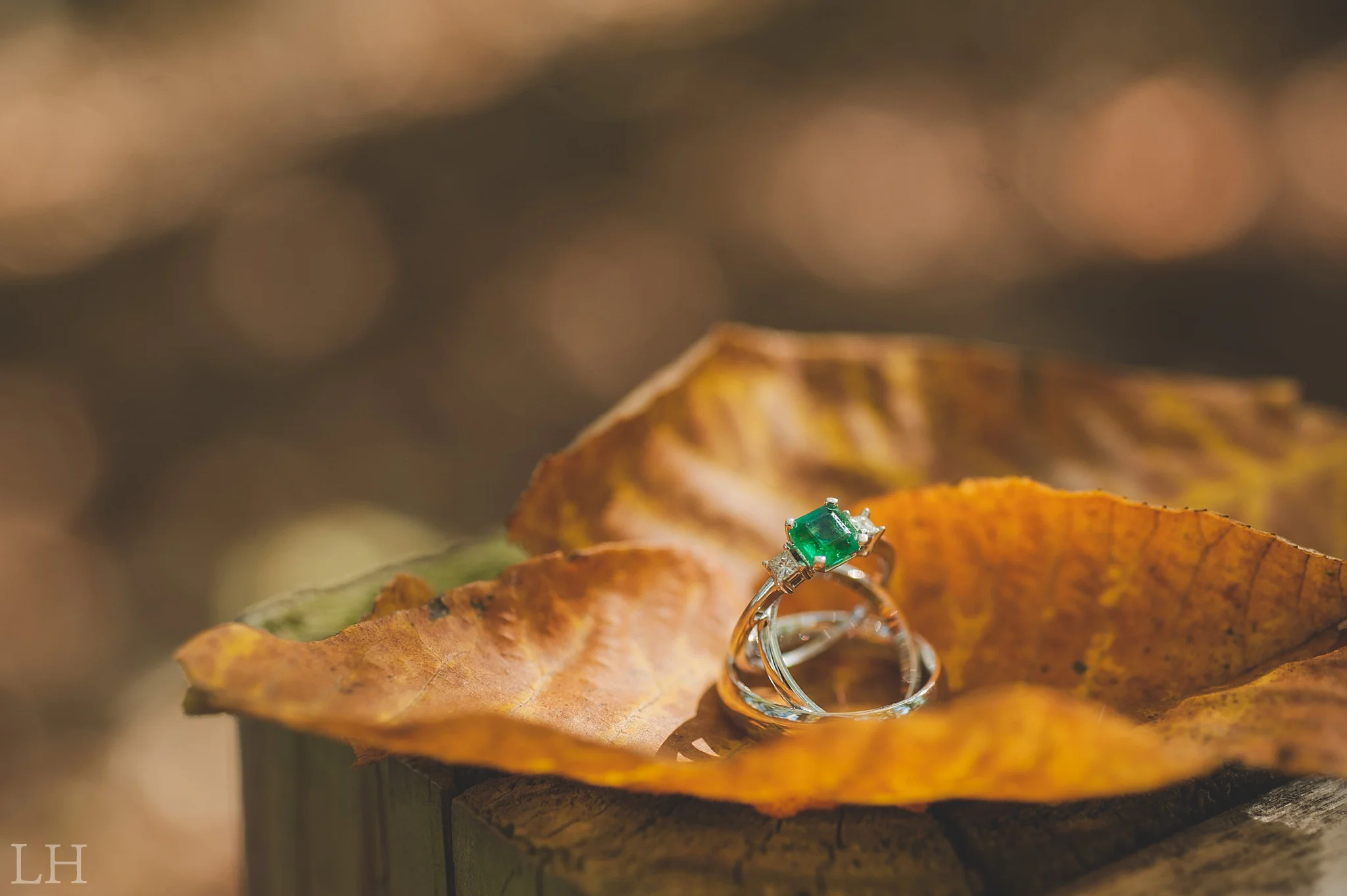 Roanoke VA Wedding Photographer
