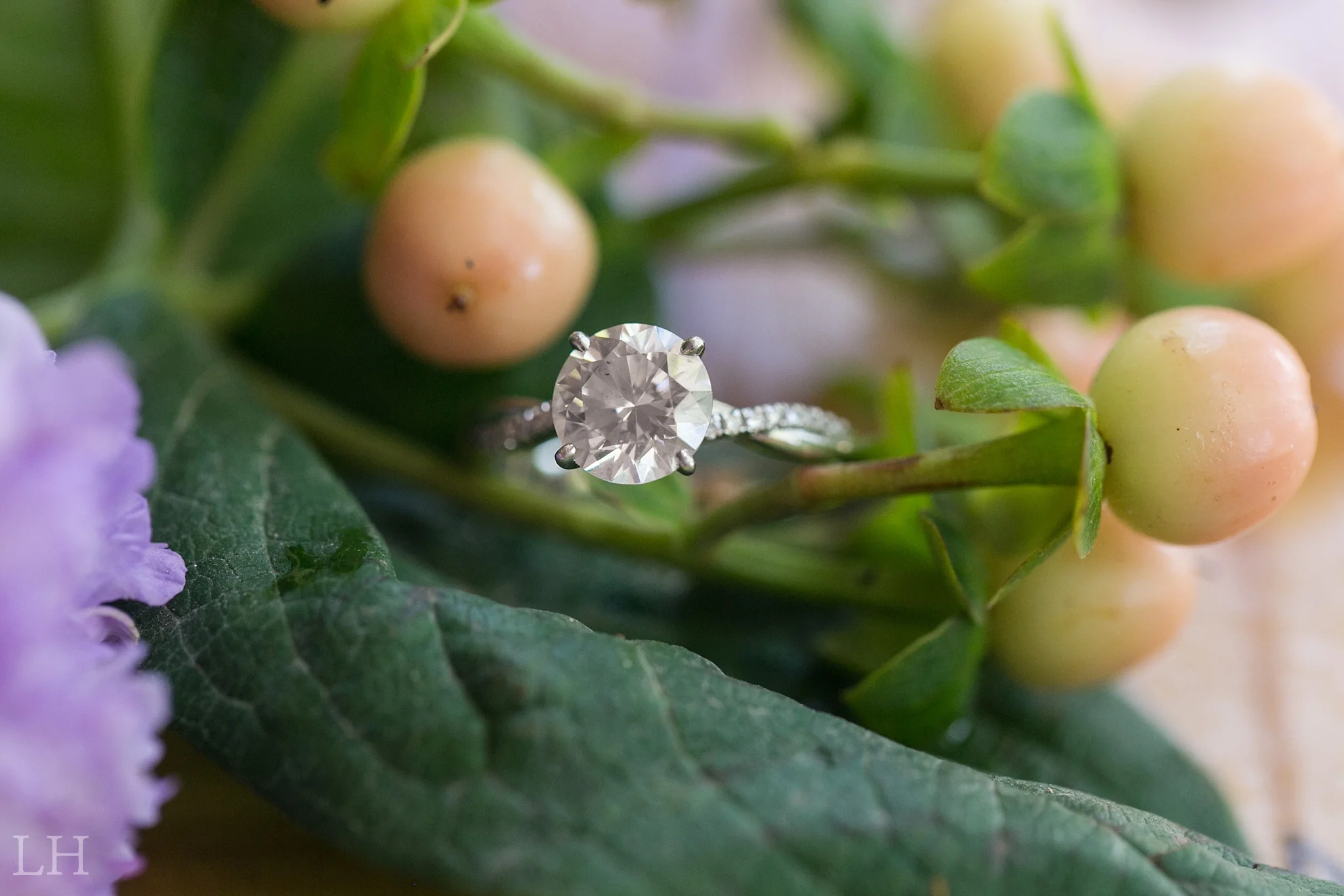AmandaHarrisonMarried103.jpg