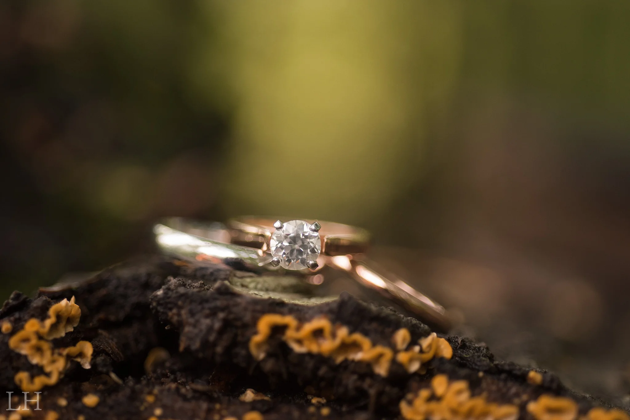 BrookeTimMarried-227_Blog.jpg