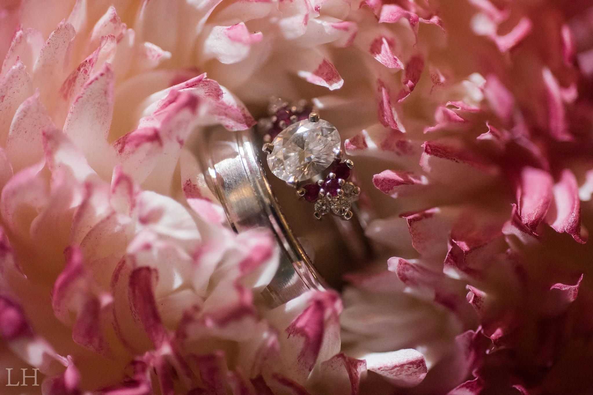 EmilyErinJonMarried_200_Blog.jpg
