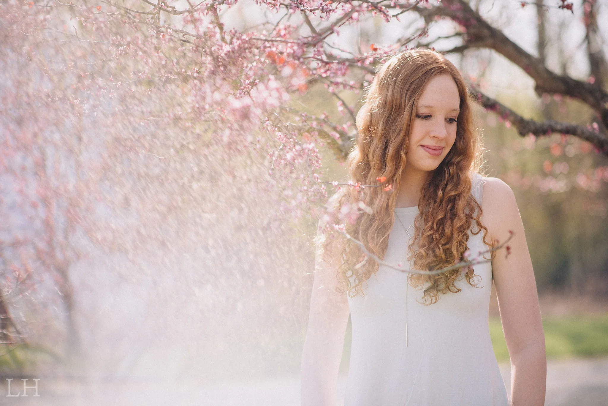 SydneySenior_112_Blog.jpg