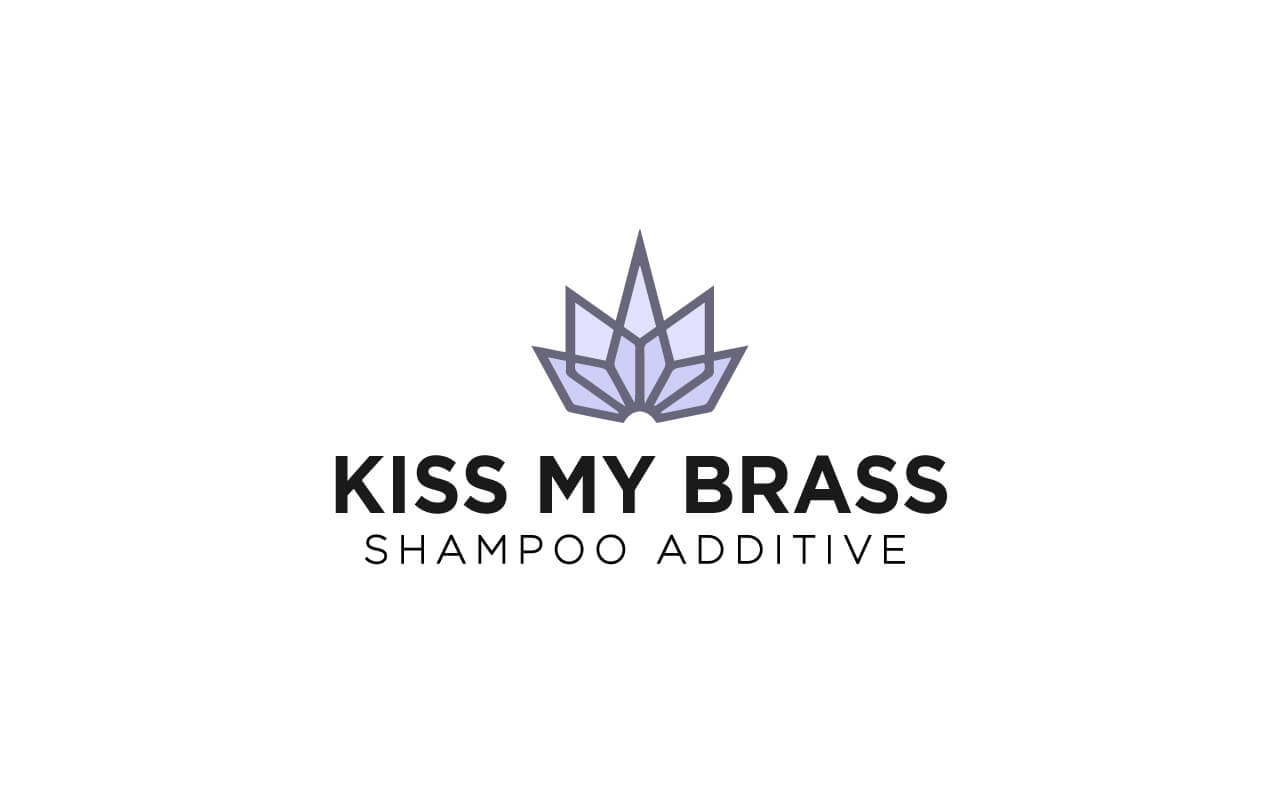 Introducing Kiss My Brass, a toning shampoo additive Create the best