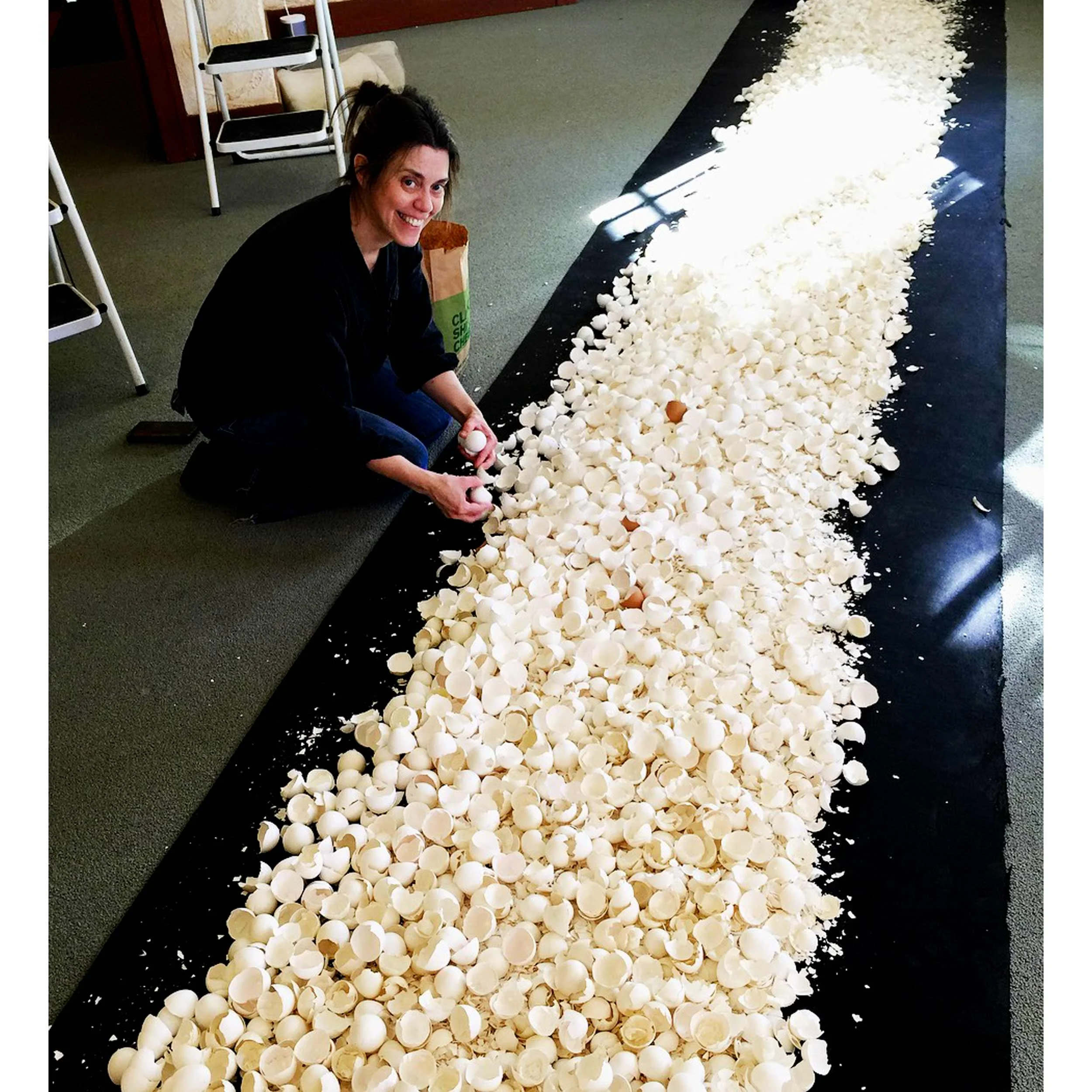 ACS_eggshells2500.jpg