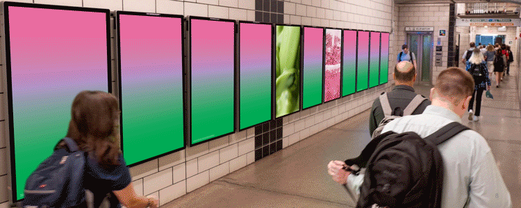 LIVESCAPE--(In-Situ).gif