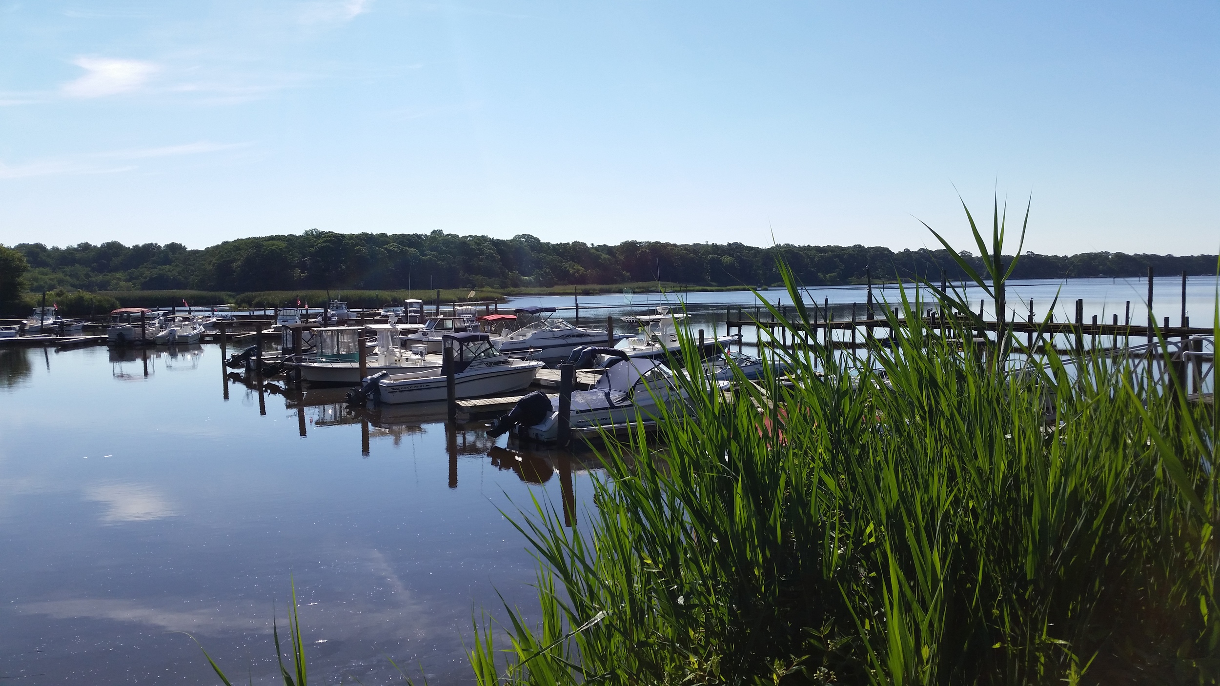 20140815_091352.jpg