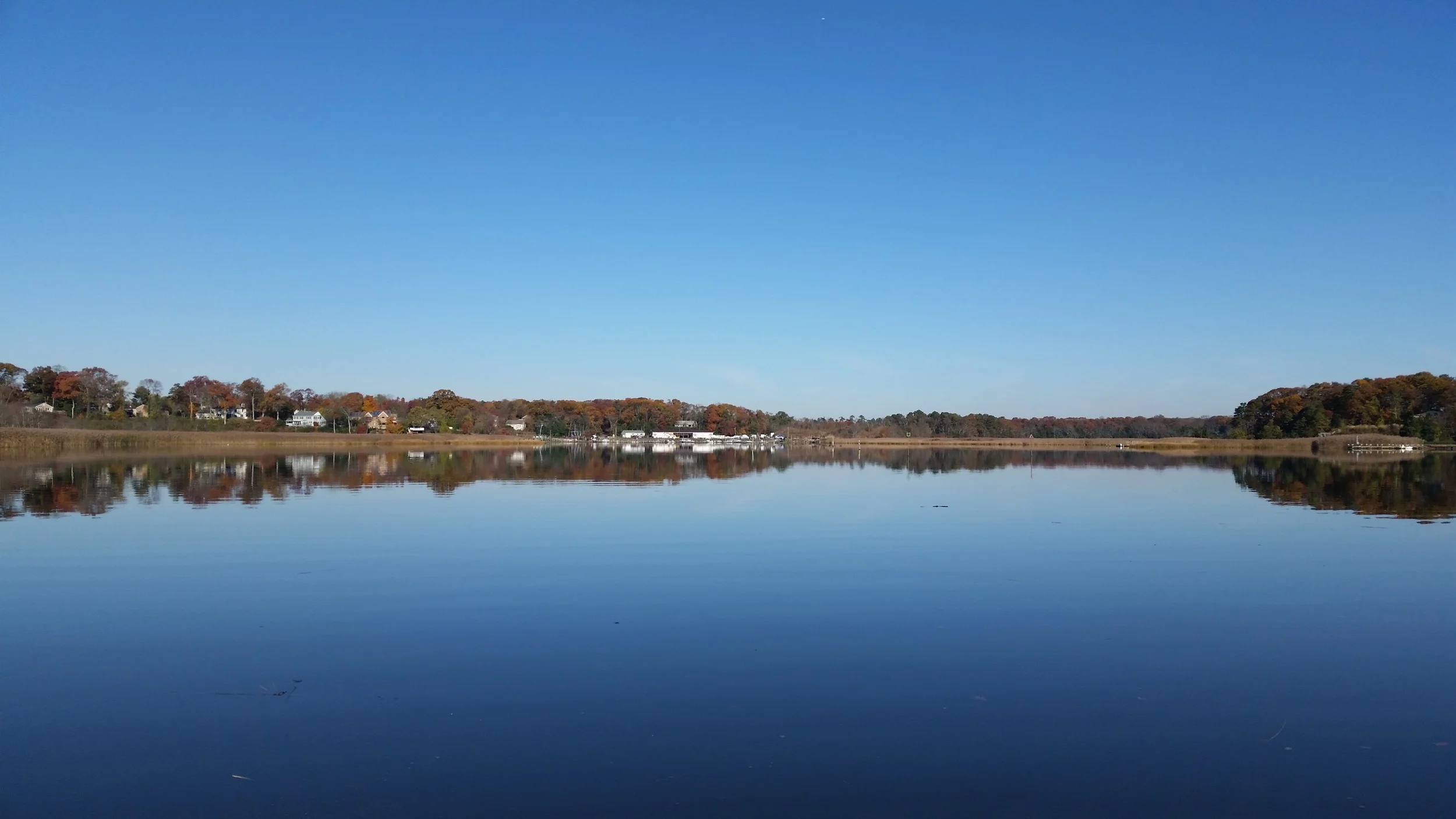 20141110_092304.jpg