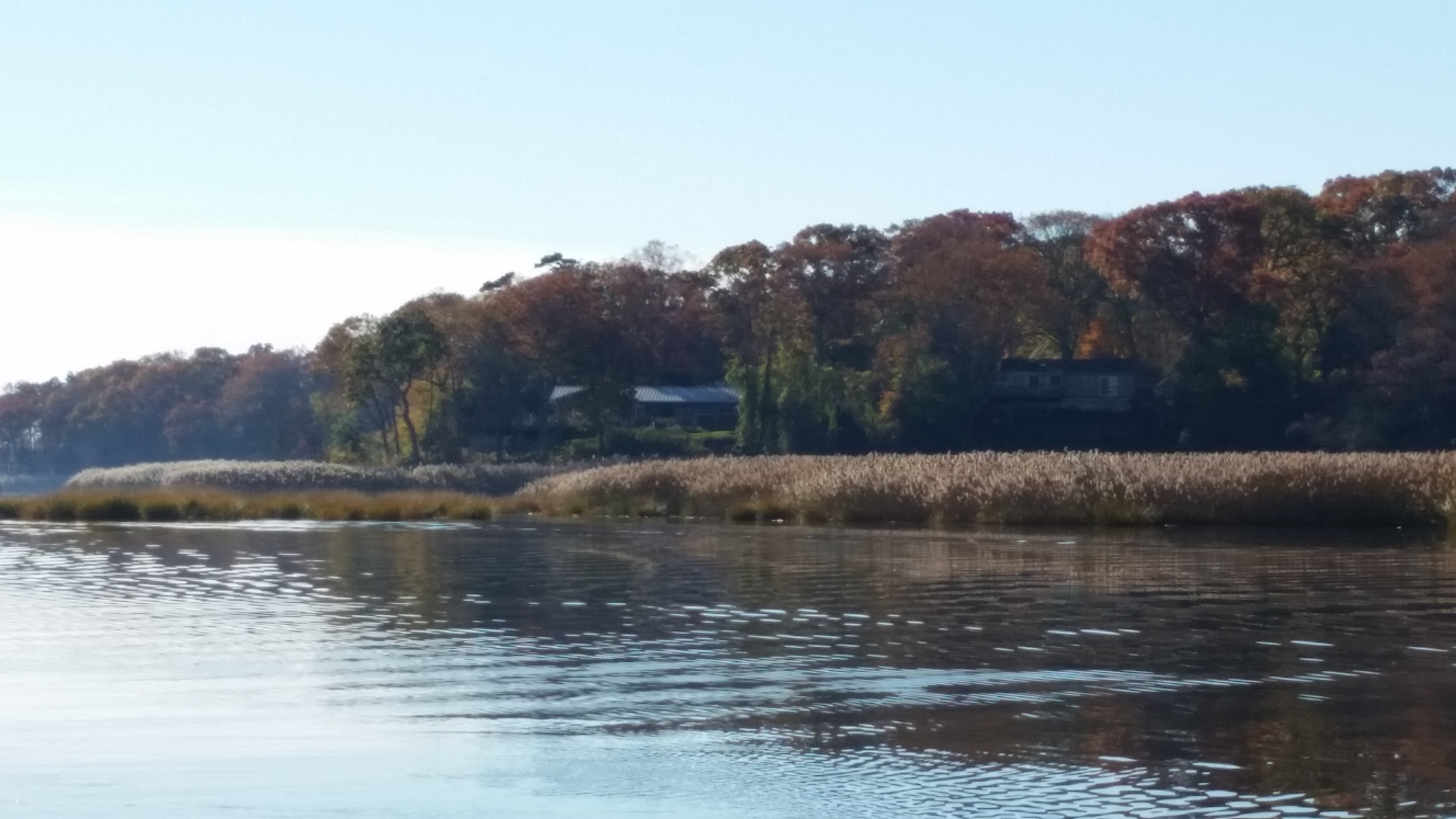 20141110_092901.jpg