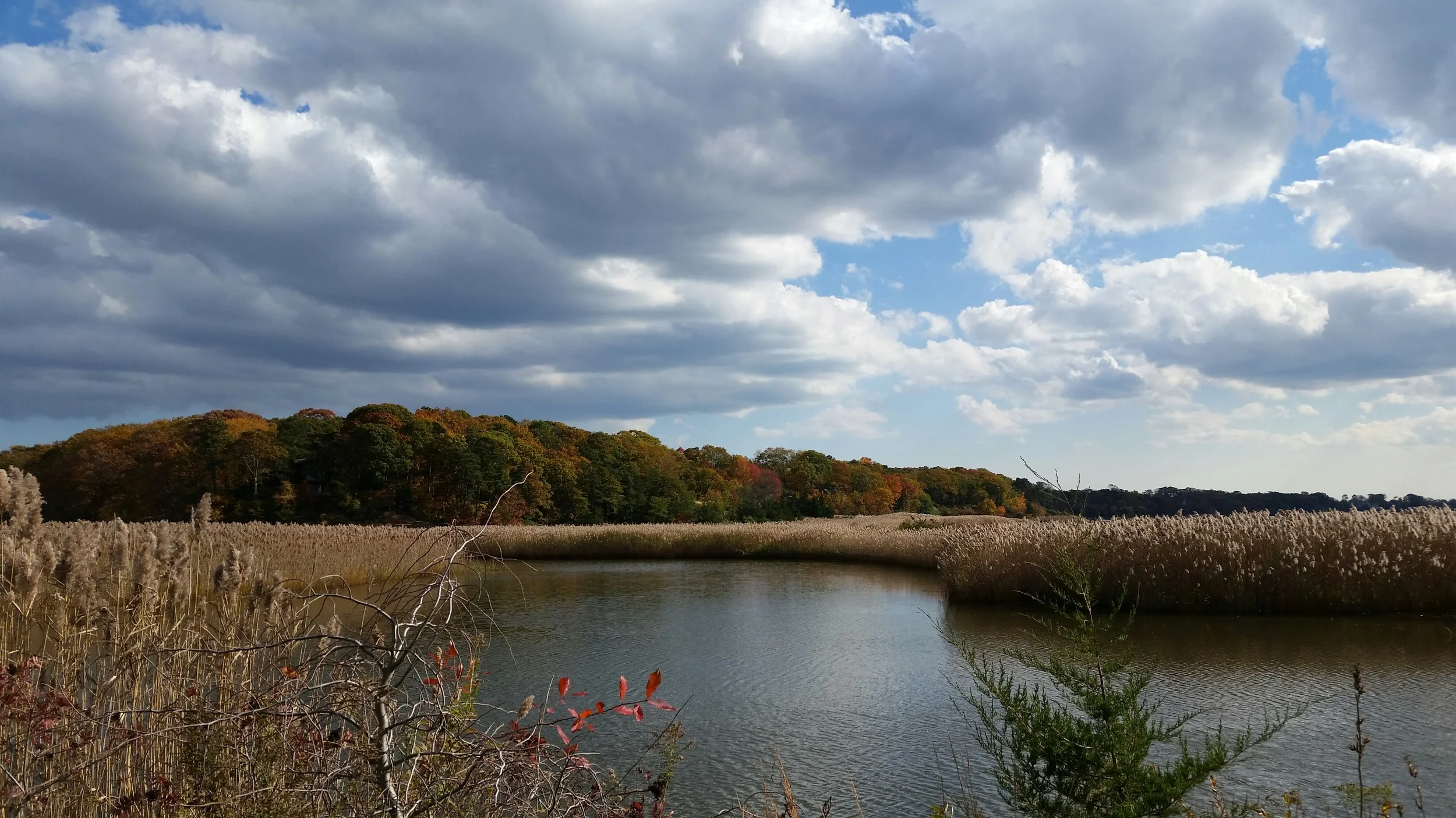 20141030_140340_resized.jpg
