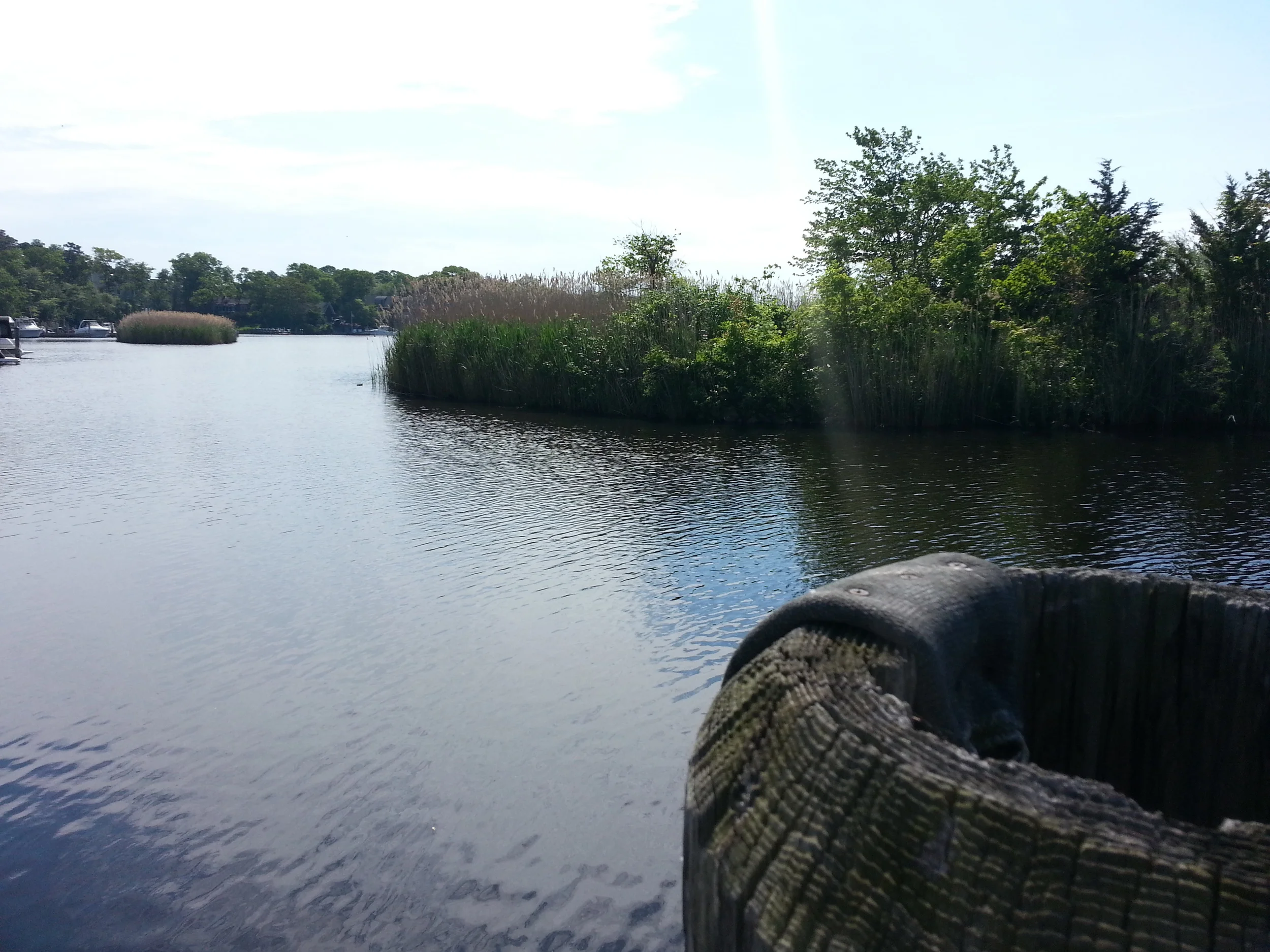 20140527_095310.jpg