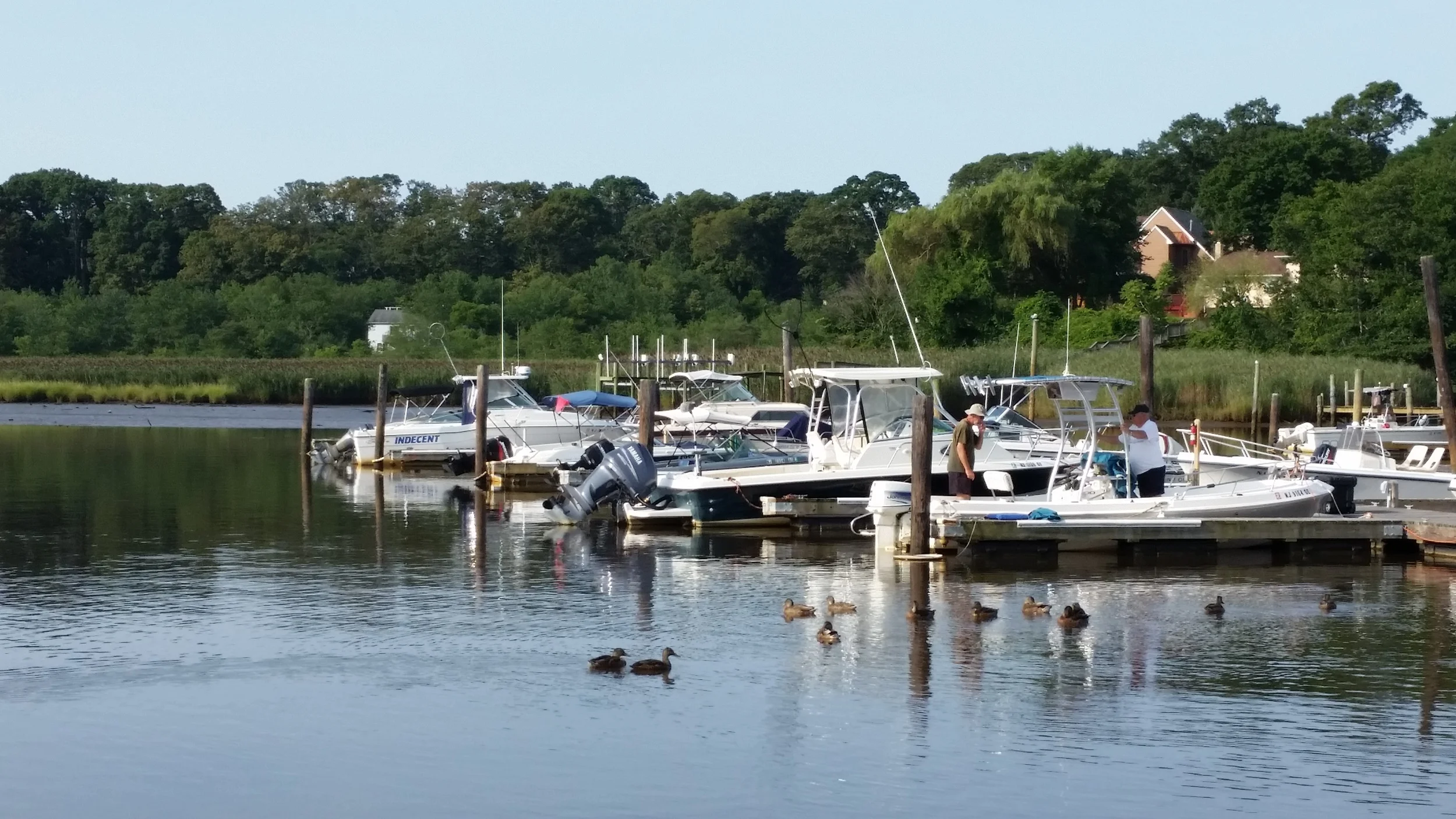 20140816_085551.jpg