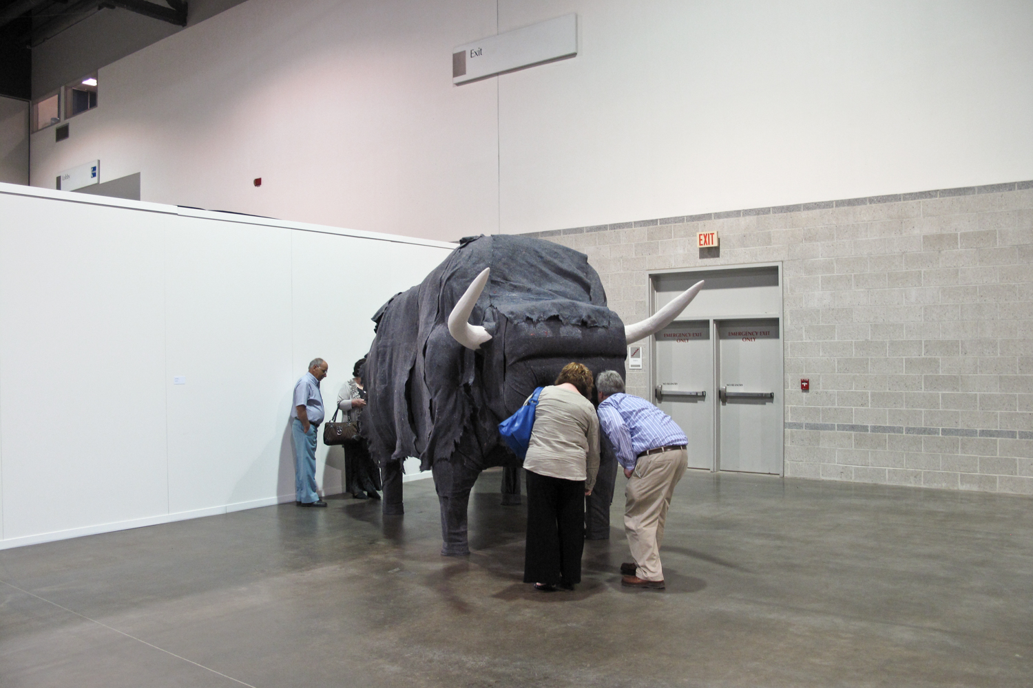 bull14.jpg