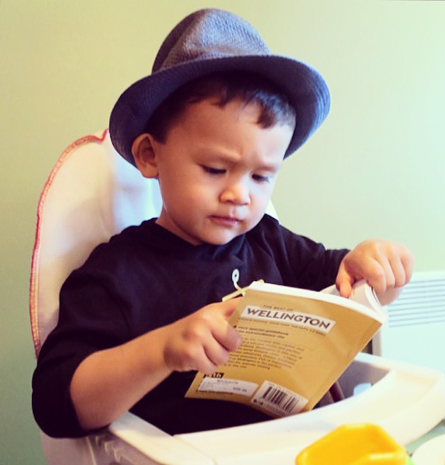 Little man is studiously studying our Wellington guidebook here! Oh I wish I was in Wellington ... #MuttonBirds