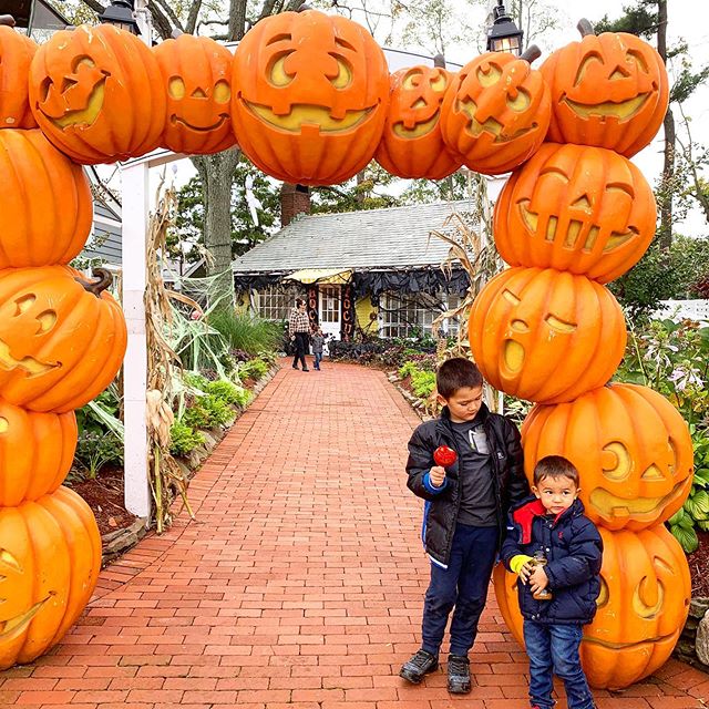 The boys are so pumped for #Halloween.... I&rsquo;m starting to think they love it more than Christmas 👻🎃🕷 #brothers #halloween2019 #momlife #longisland @milleridgevillage @milleridgeinn ...
.
.
.
.
.
.
.
.
.
.
.
.
.
.
.
.
.
.
.
.
.
.
.
.
.
.
.
.
