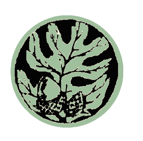 Acorn logo only.png