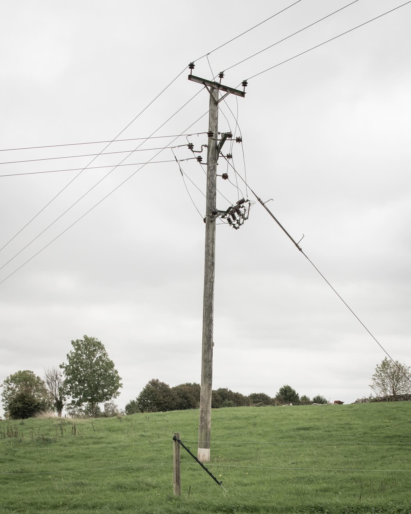 009 Electricity Pole

 In a high tech world.