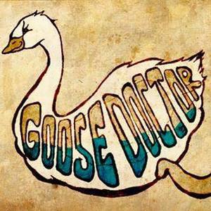 Goose Doctor.jpeg