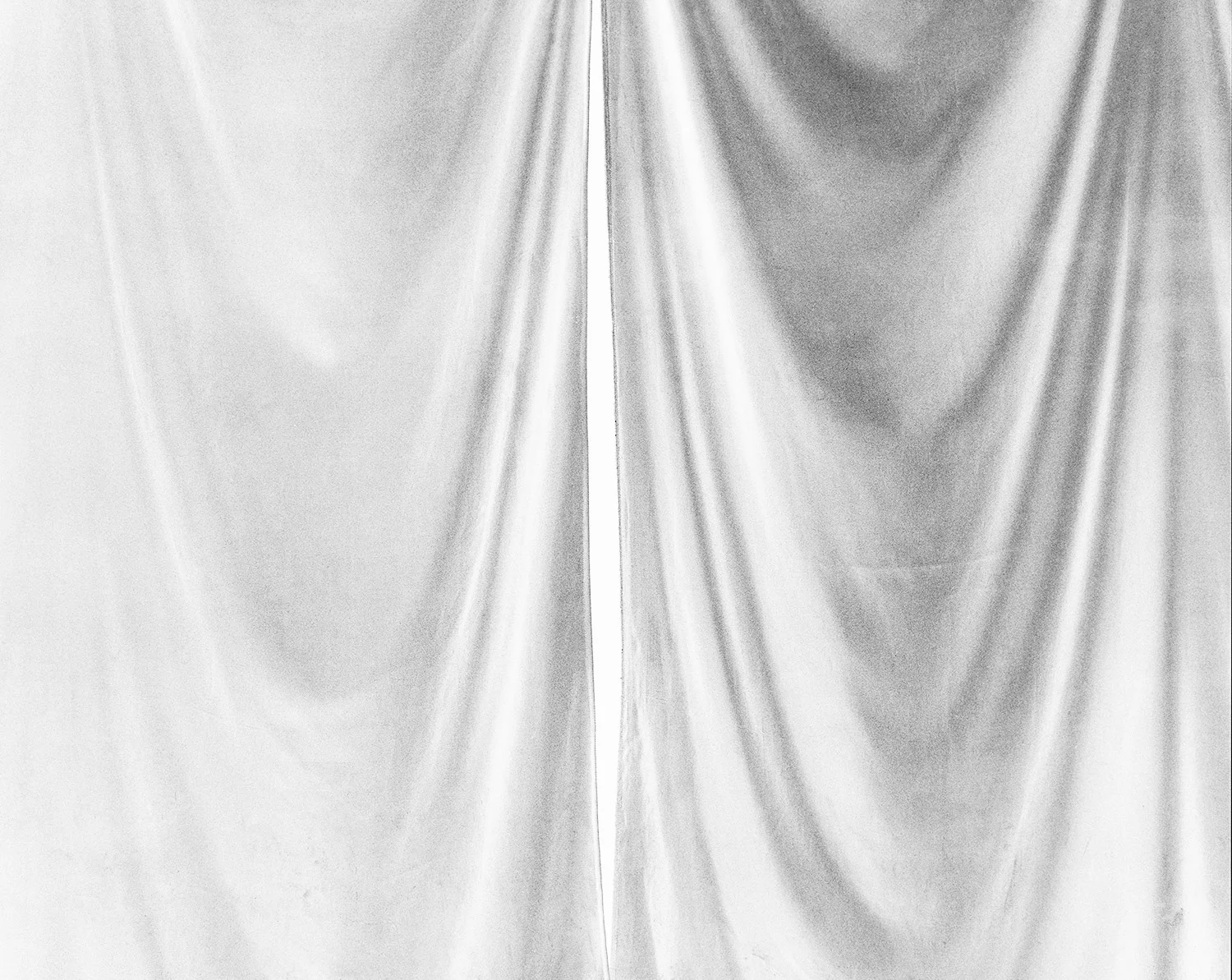 One Night Only VI, 2011 Digital C-type Print 20 x 24in