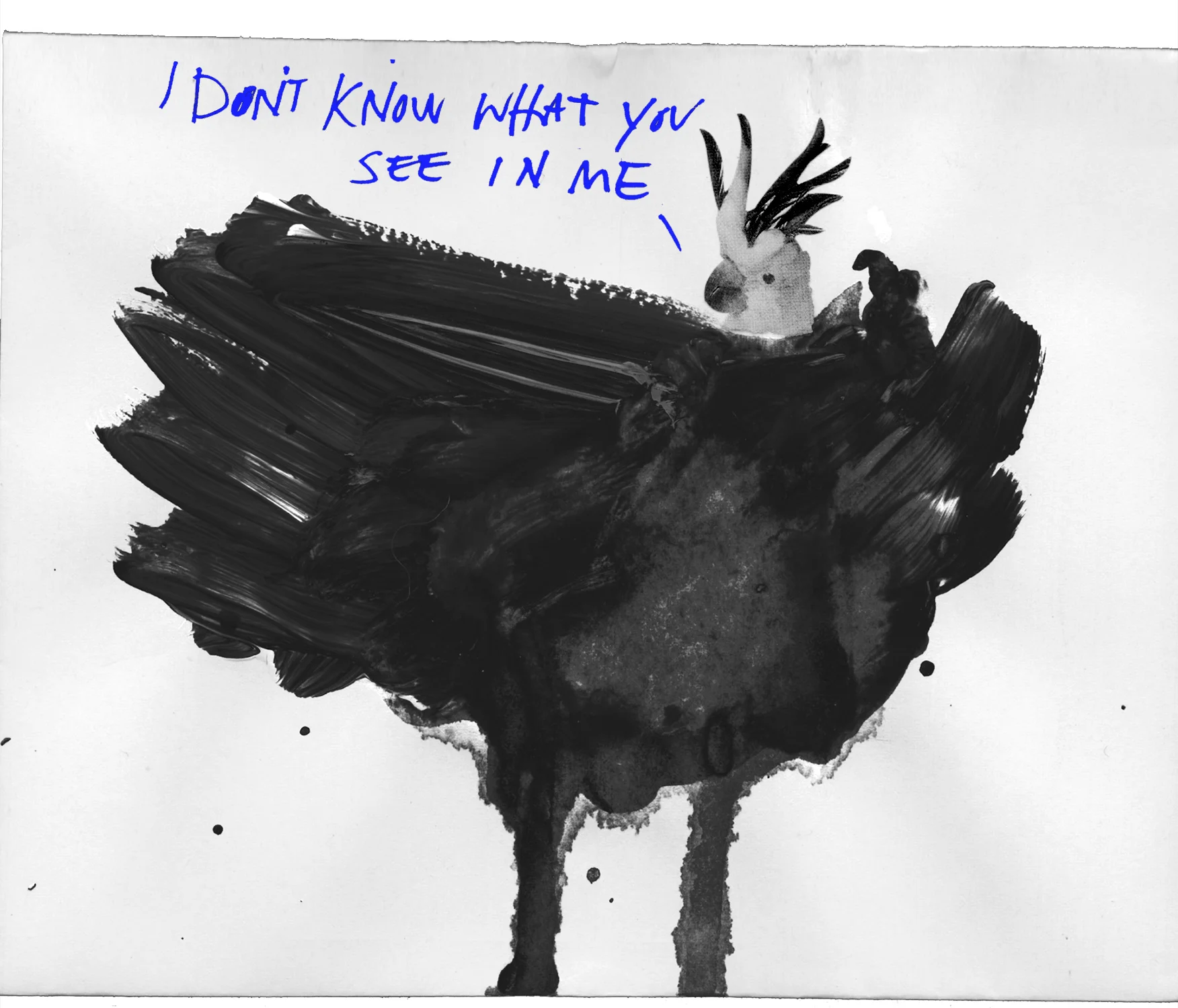 Rorschach Cockatoo