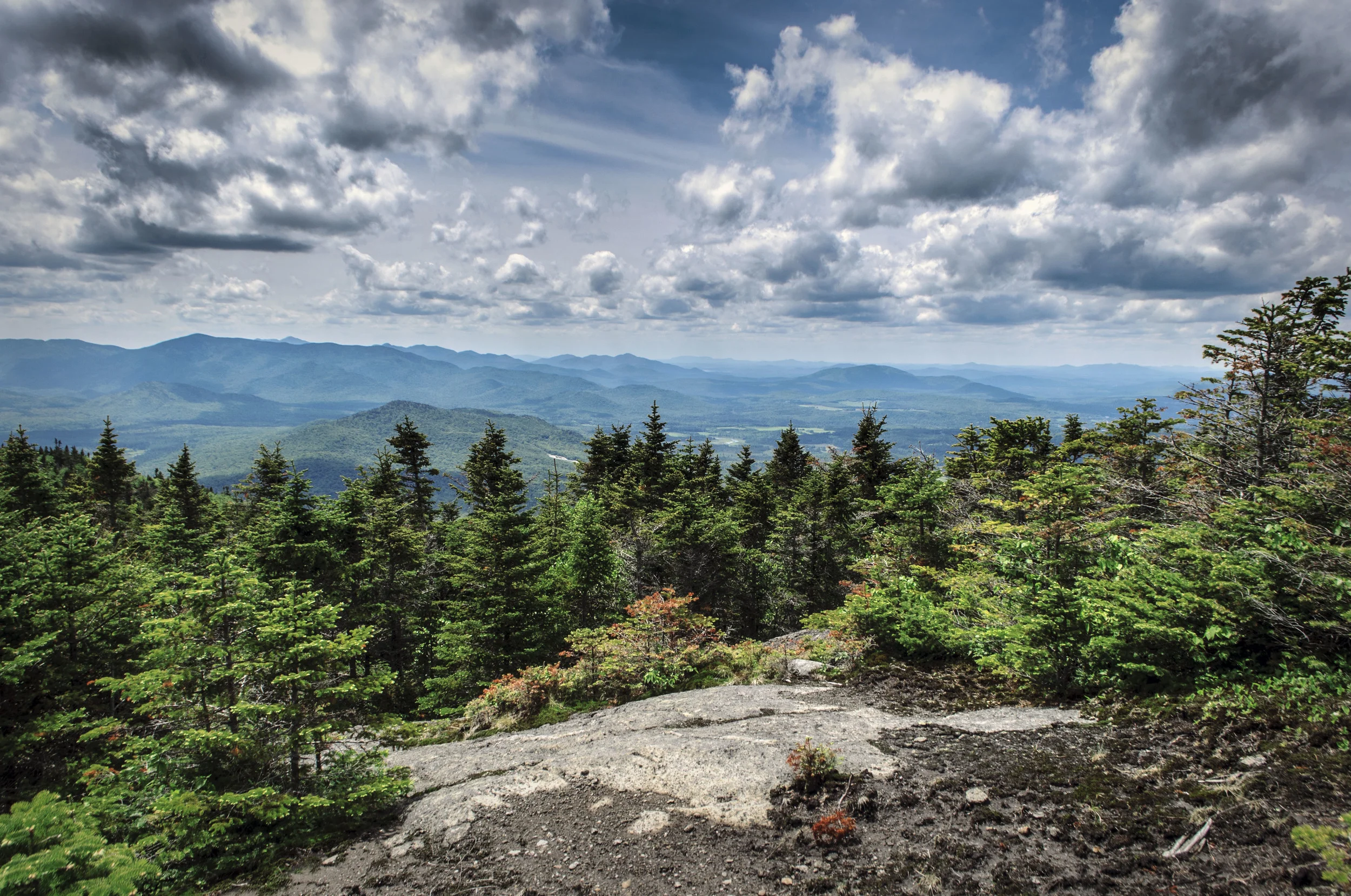 adk4web.jpg