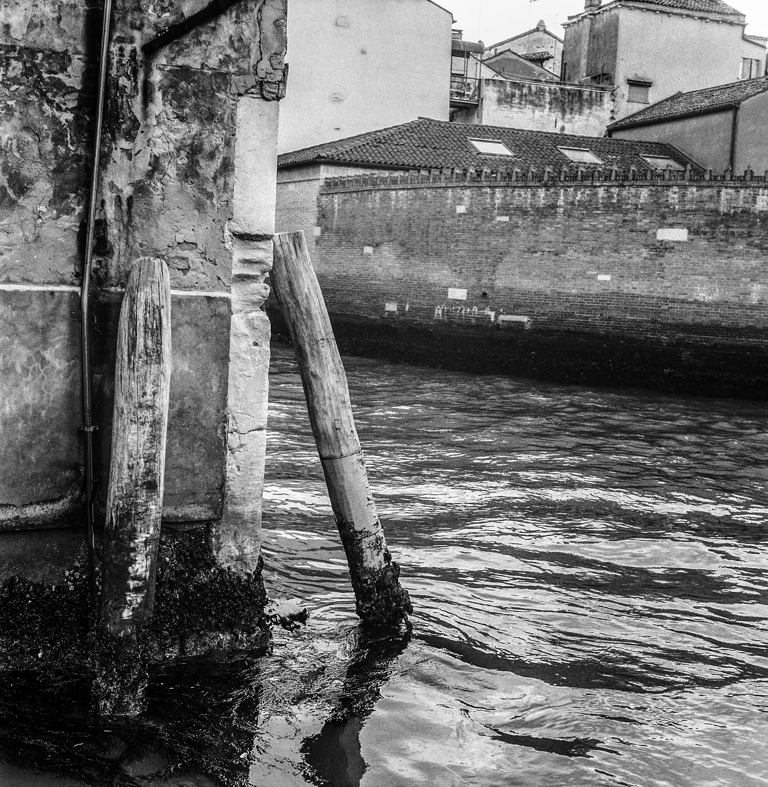 VENICE9.jpg