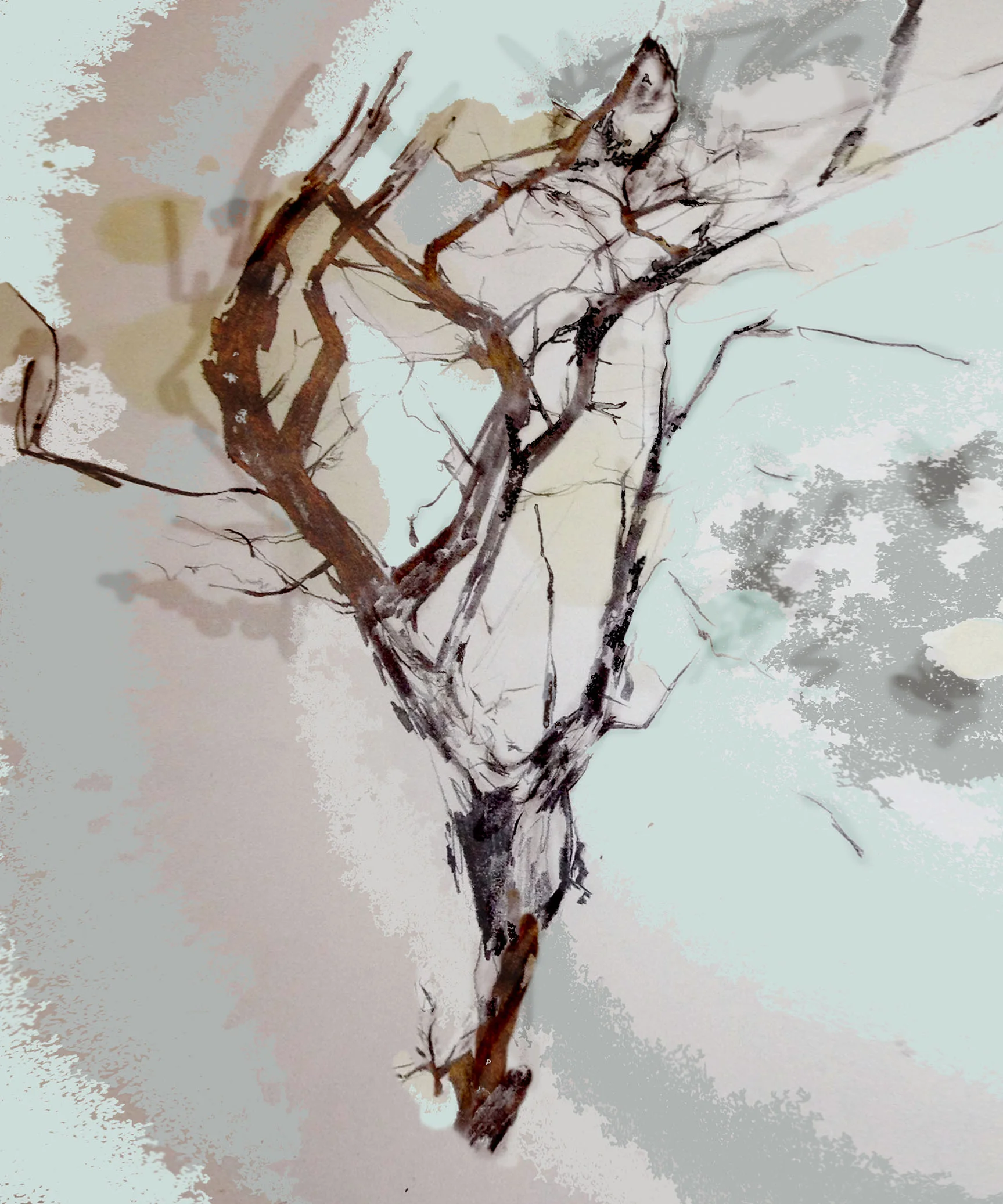 Sleeping Tree Smaller.jpg