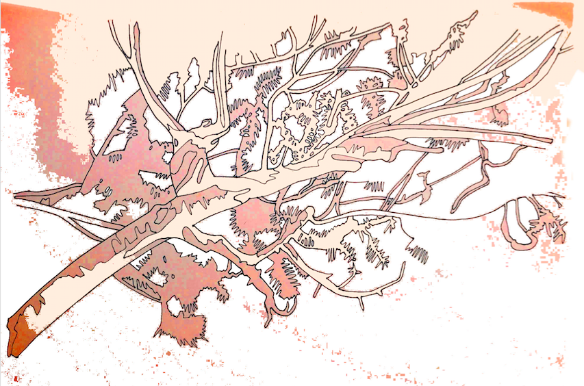 Screen Shot 2018-08-03 at 18.31.43.png