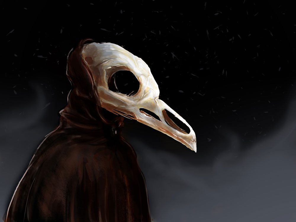 birdScholarWEB.jpg