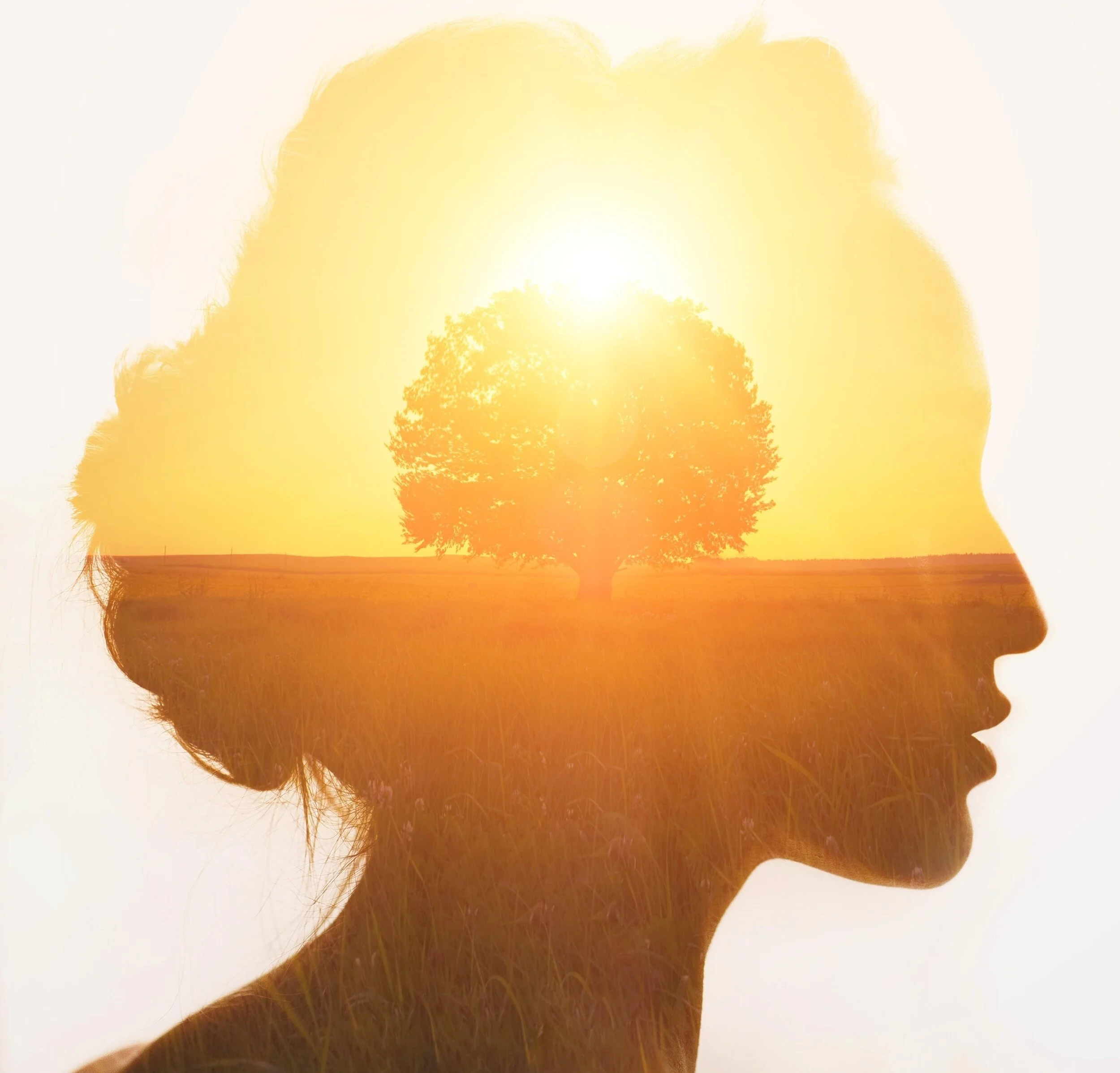 CBT at BHBA and Two New CBT Therapists!