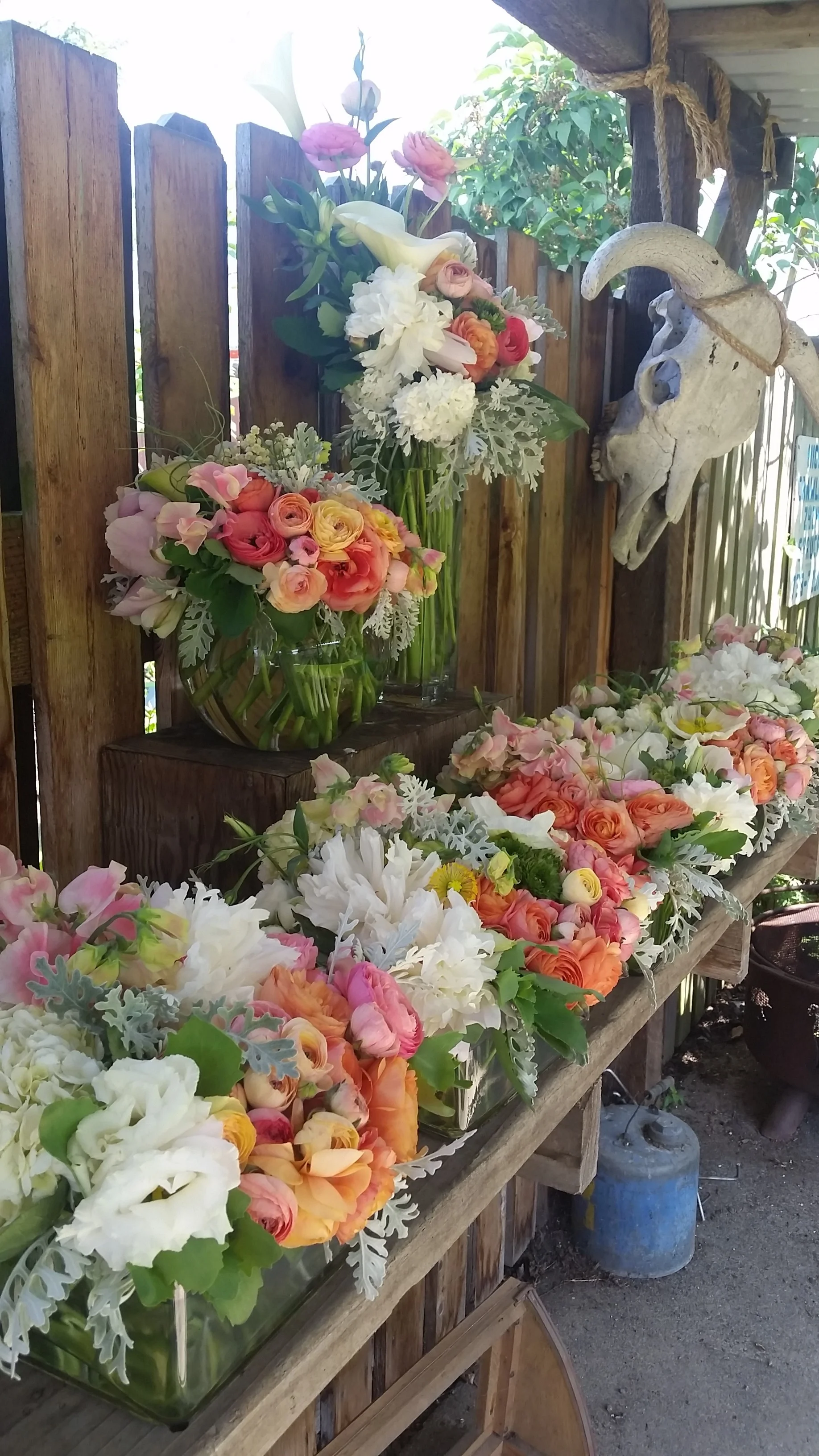 20150517_125153.jpg
