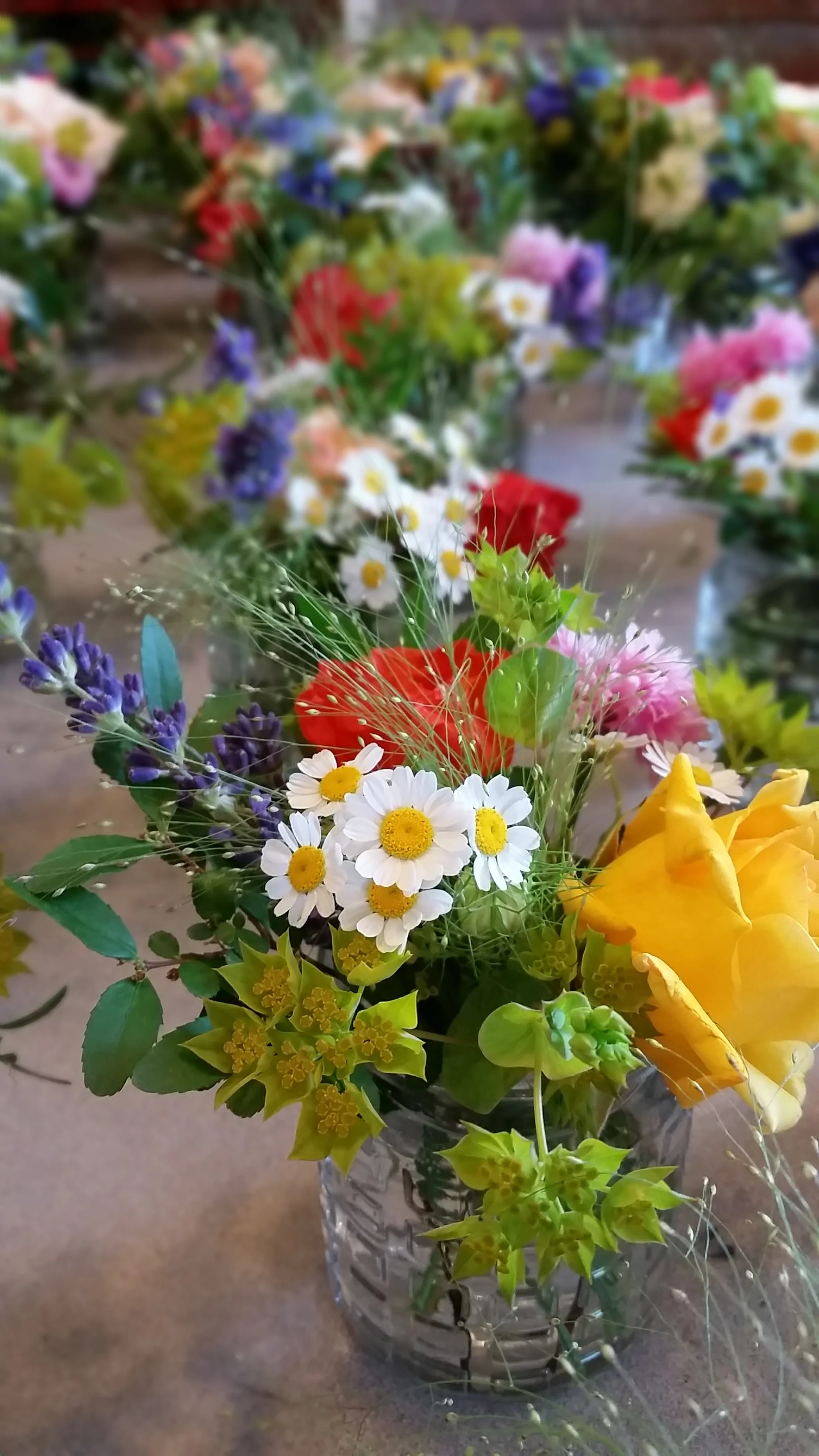 20150616_135350.jpg
