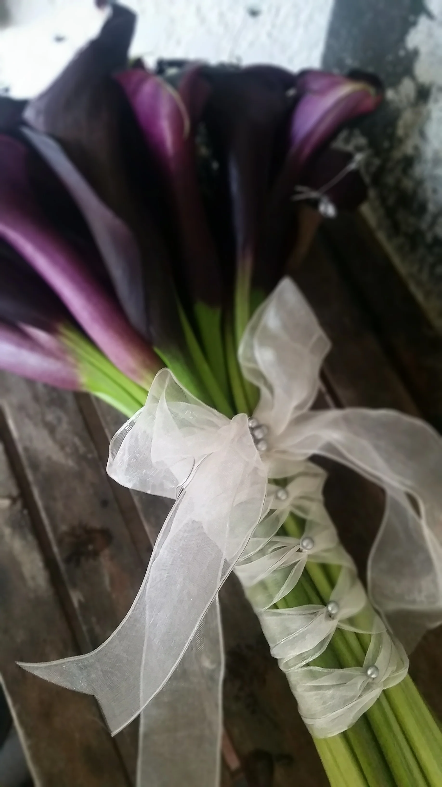 20150725_071831.jpg