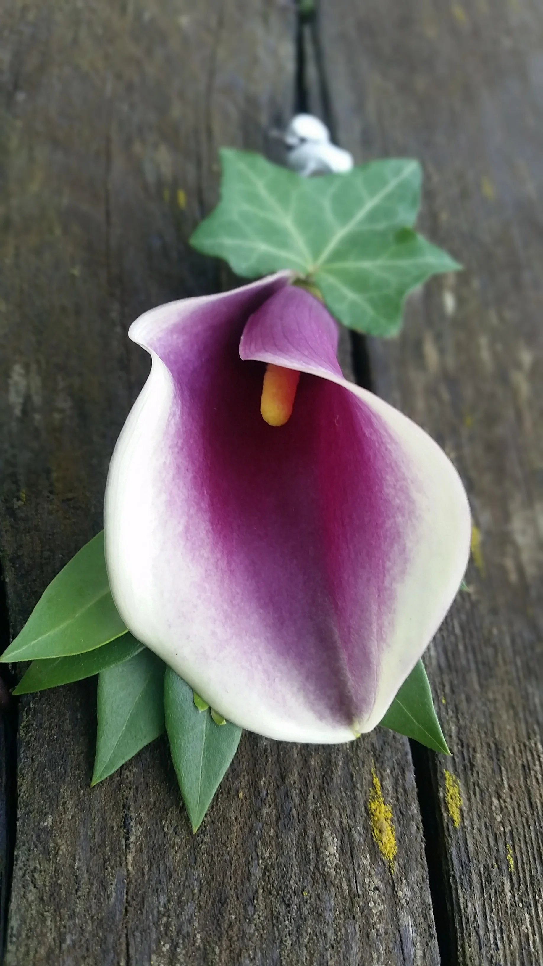 20150725_072034.jpg