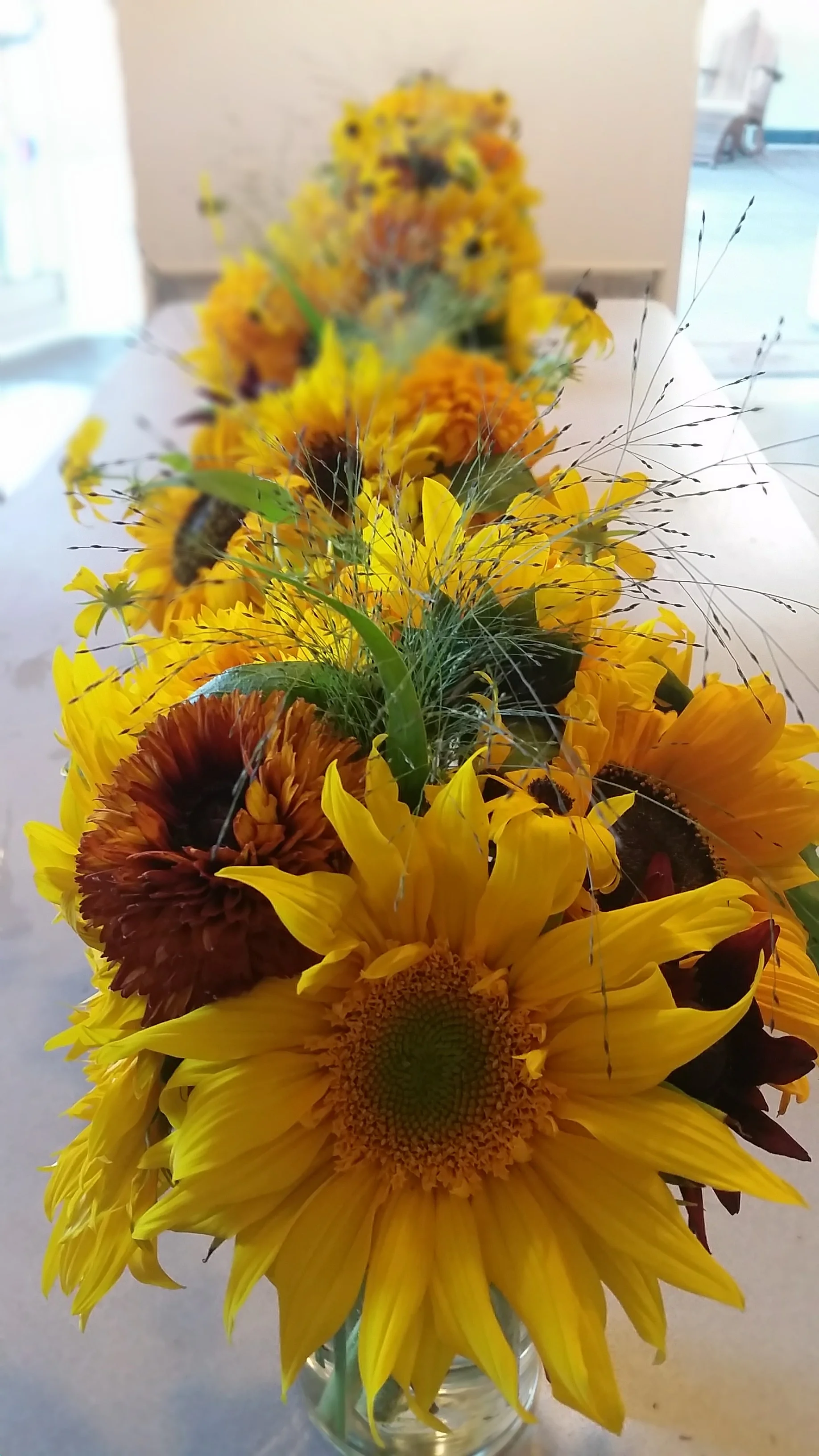20150807_113858.jpg