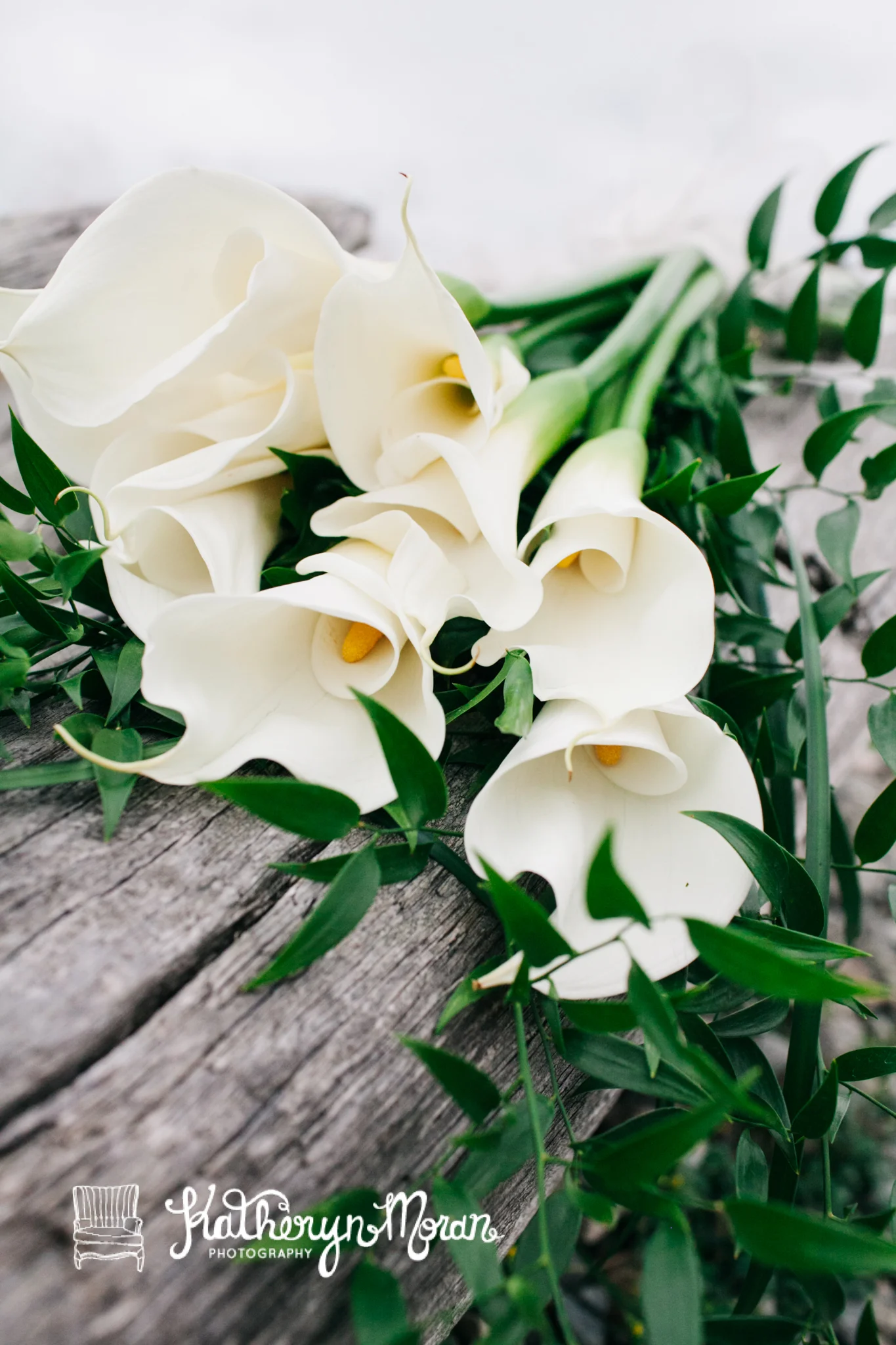 DavidSusanneWedding-1 (1).jpg