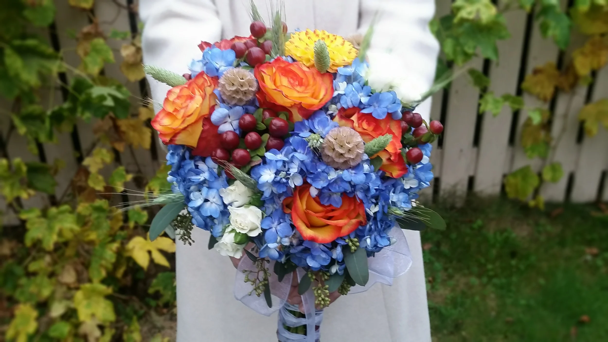 20151018_084832.jpg