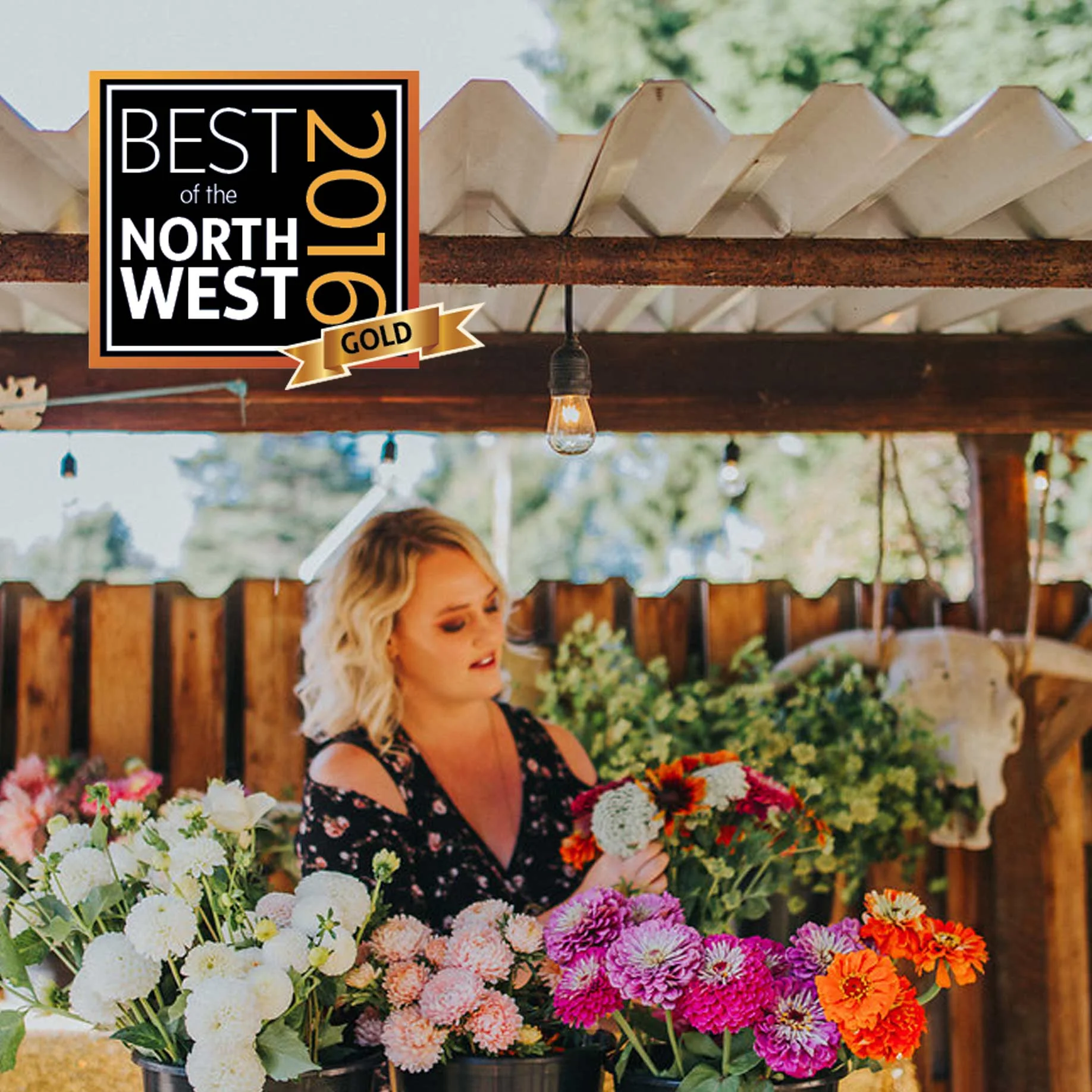 Won ‘Best Florist’ in Bellingham Alive, 3 years in a row (2016-2018).