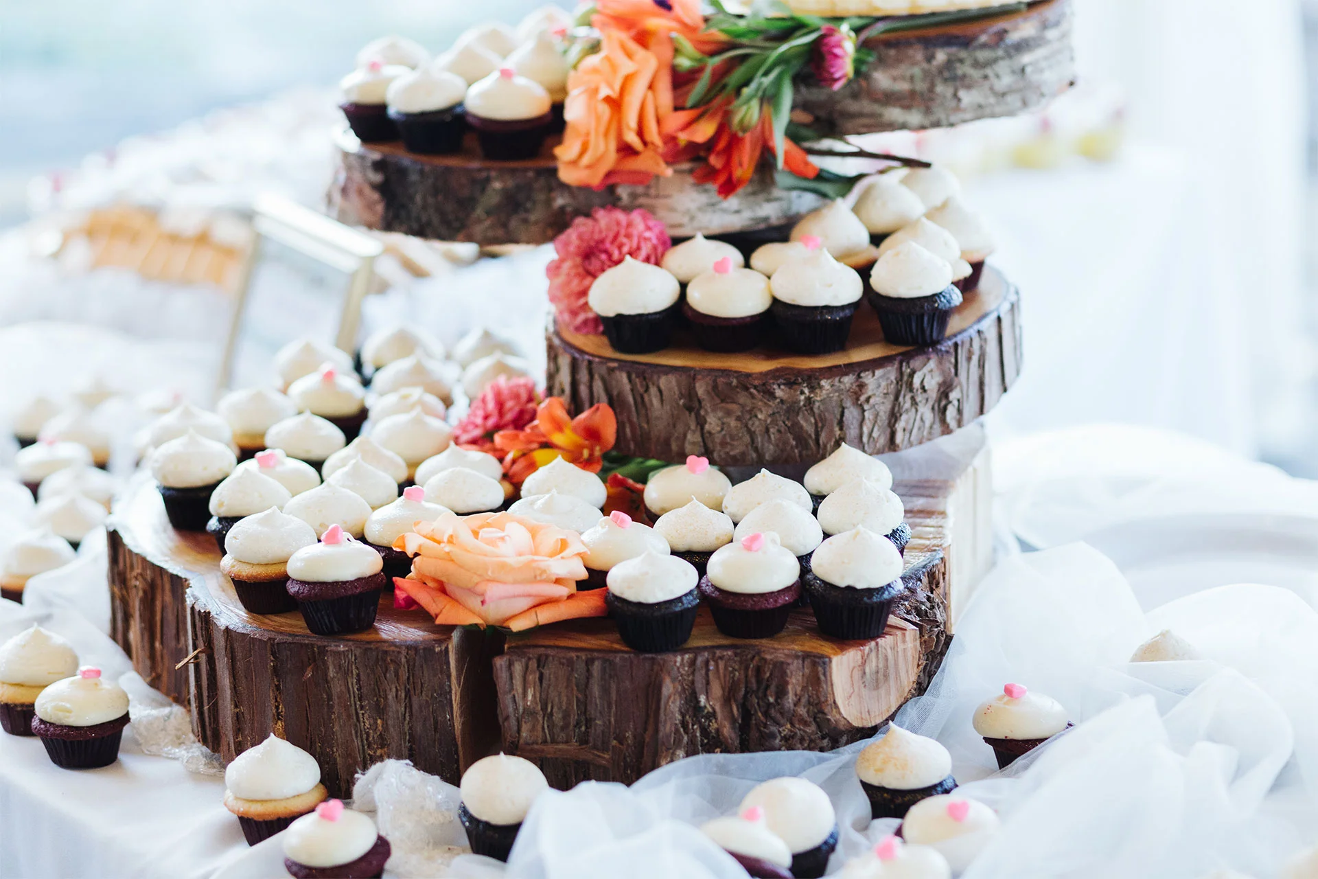 Lilia&QuinnWedding(876of1412).jpg