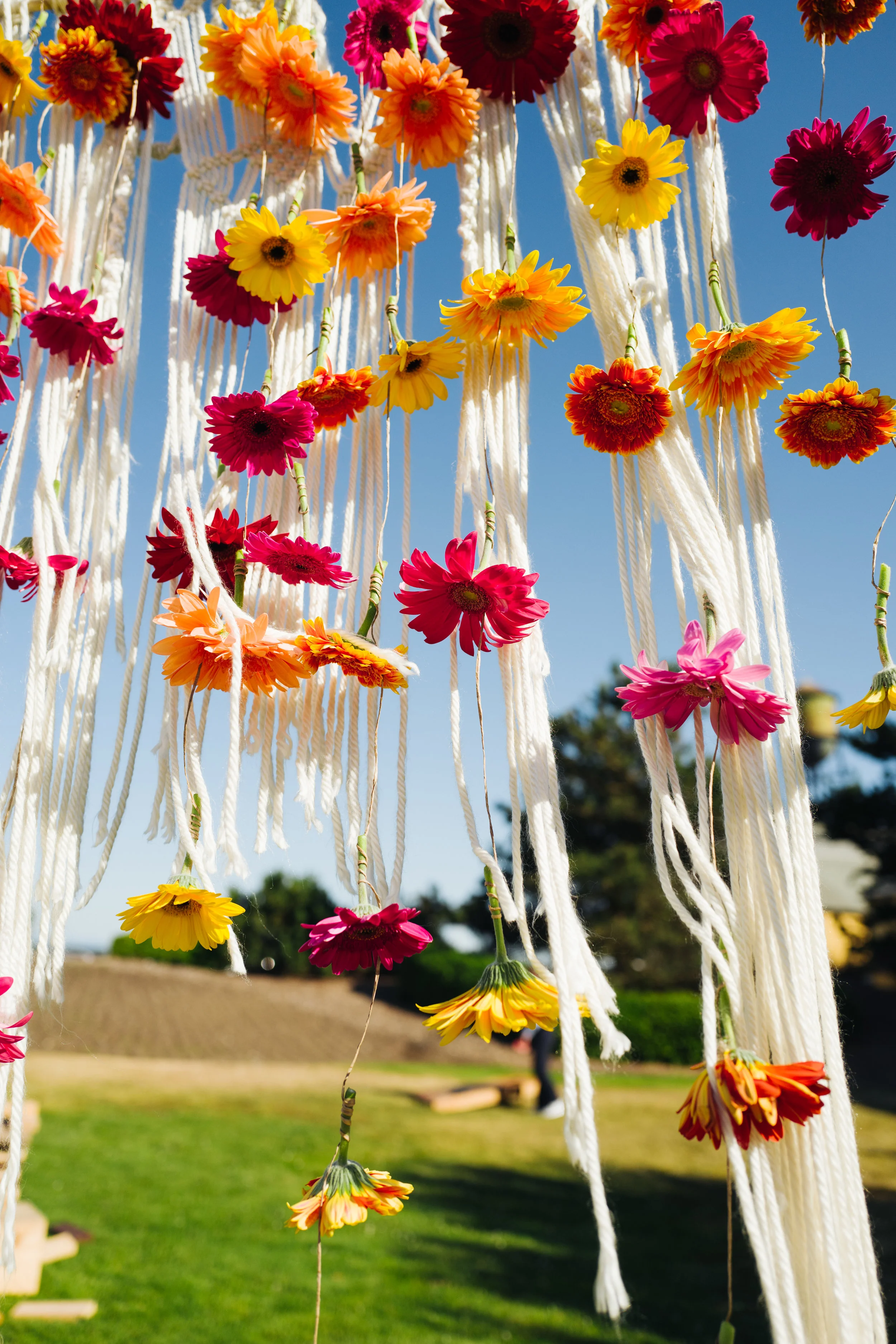 Lilia&QuinnWedding(863of1412).jpg