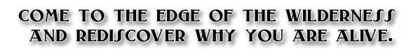 cometotheedge.jpg