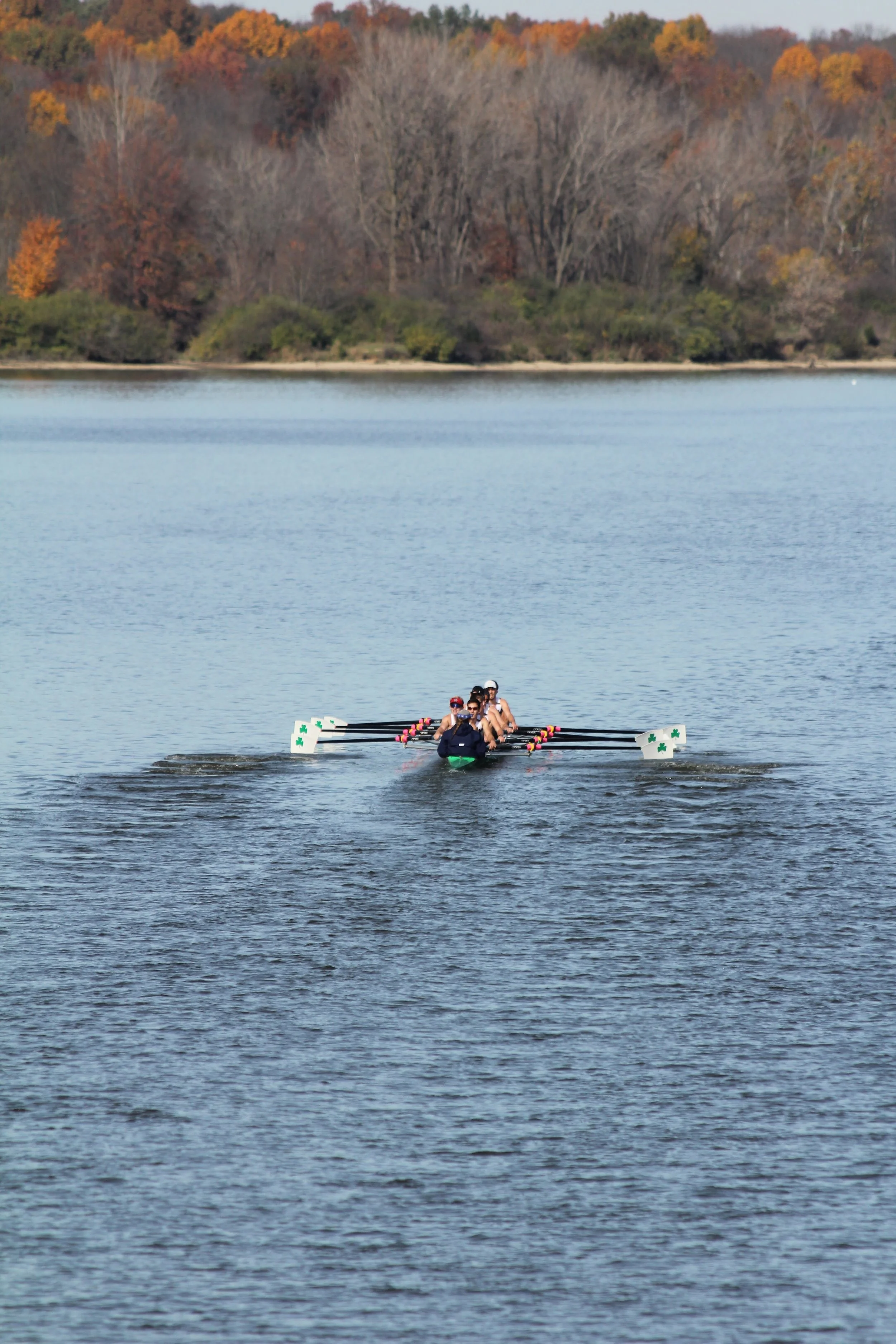 Tri-Dual Against Purdue, Marietta, and Cincinnati Results