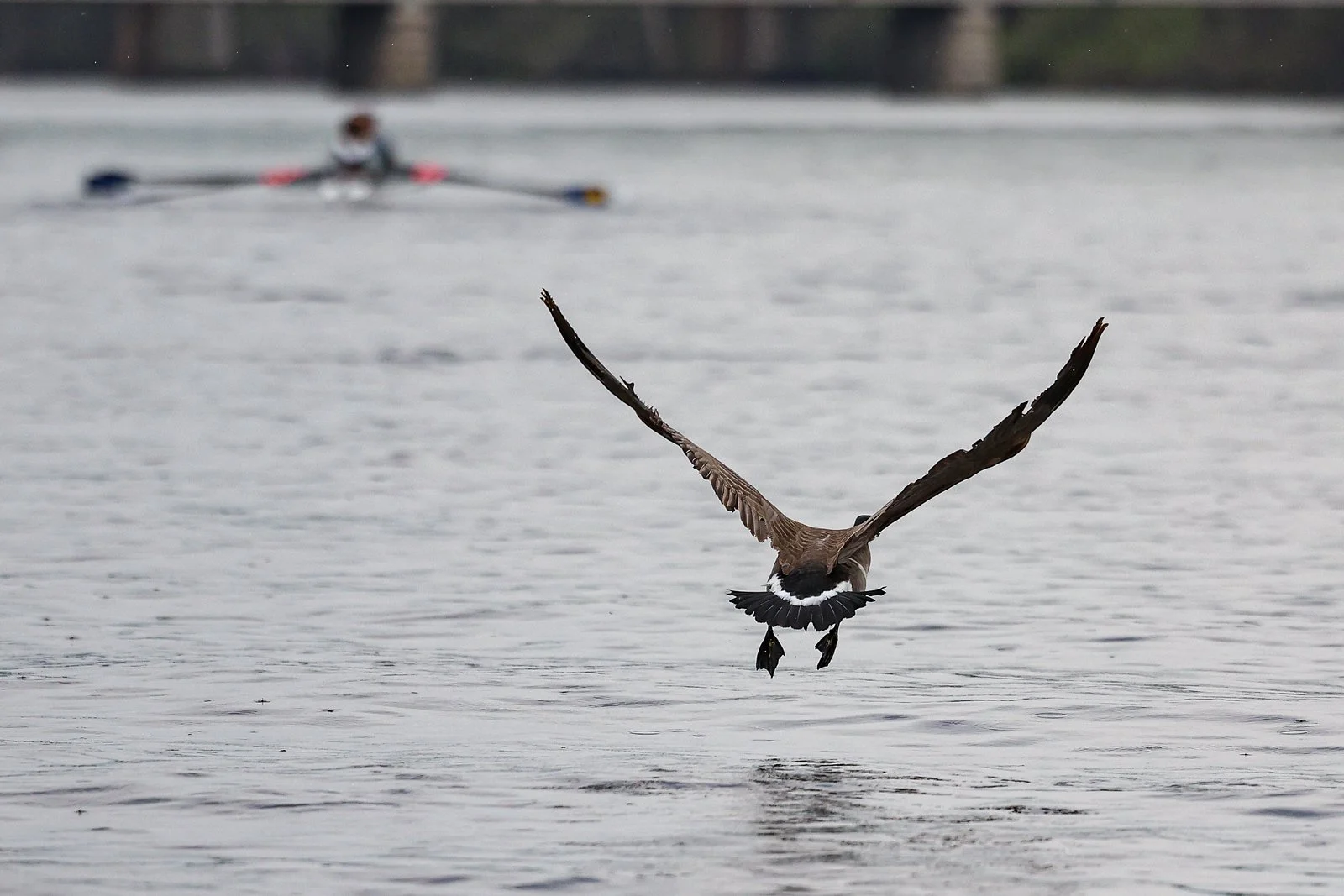 MROW2526 Practice -136-X3.jpg