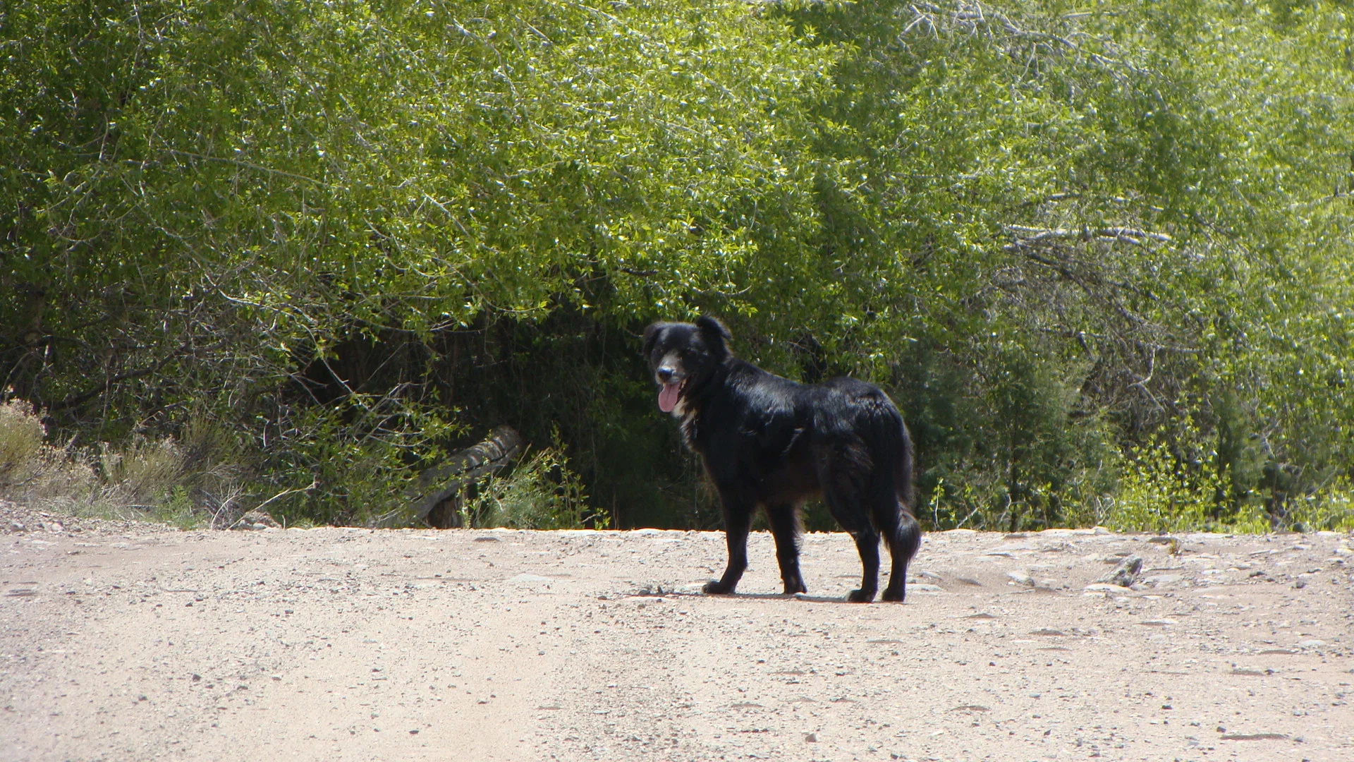 'Come on Mom ... we're almost to my favorite spot!'