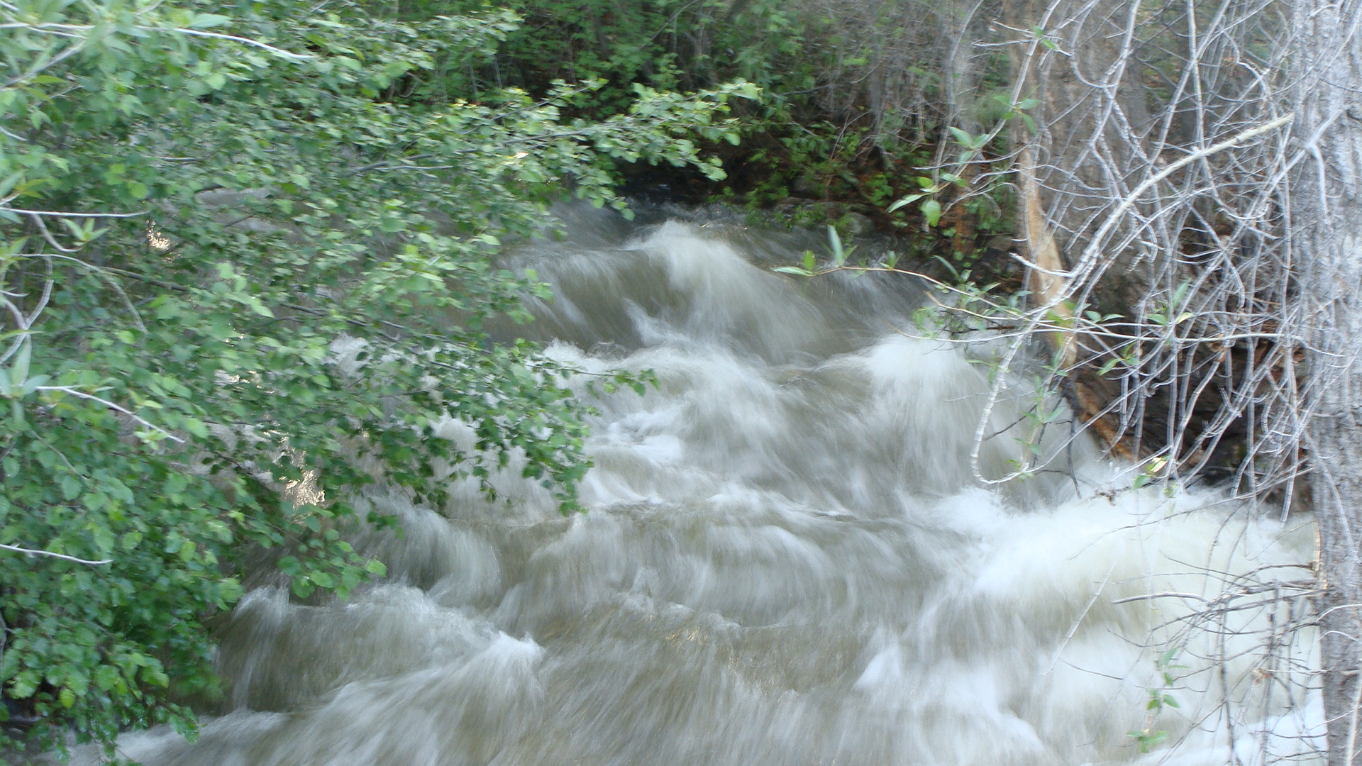 We have the freedom to flow as freely as this stream ...