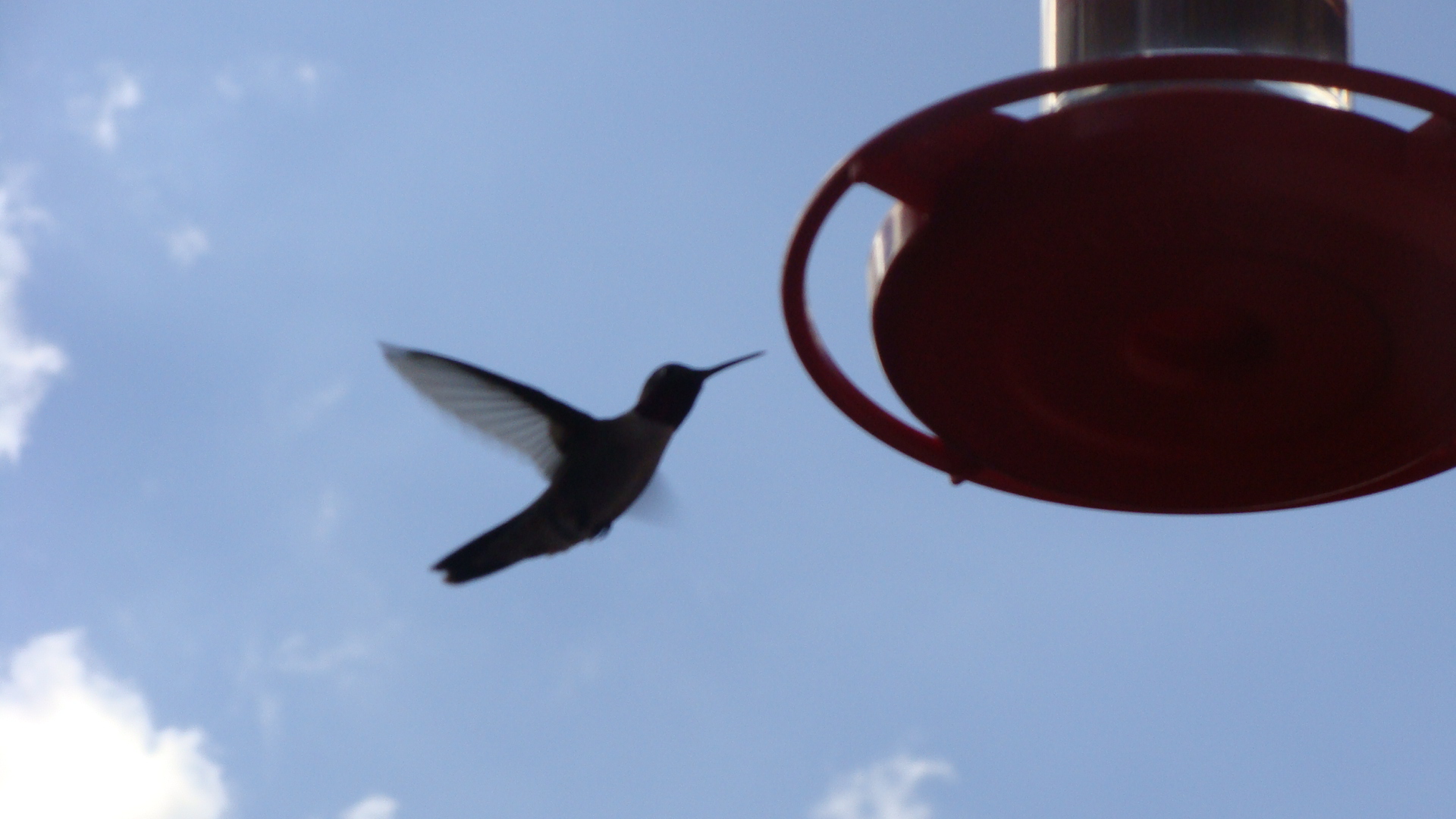 ... And, to fly joyfully through life. The choice is ours and ours alone.