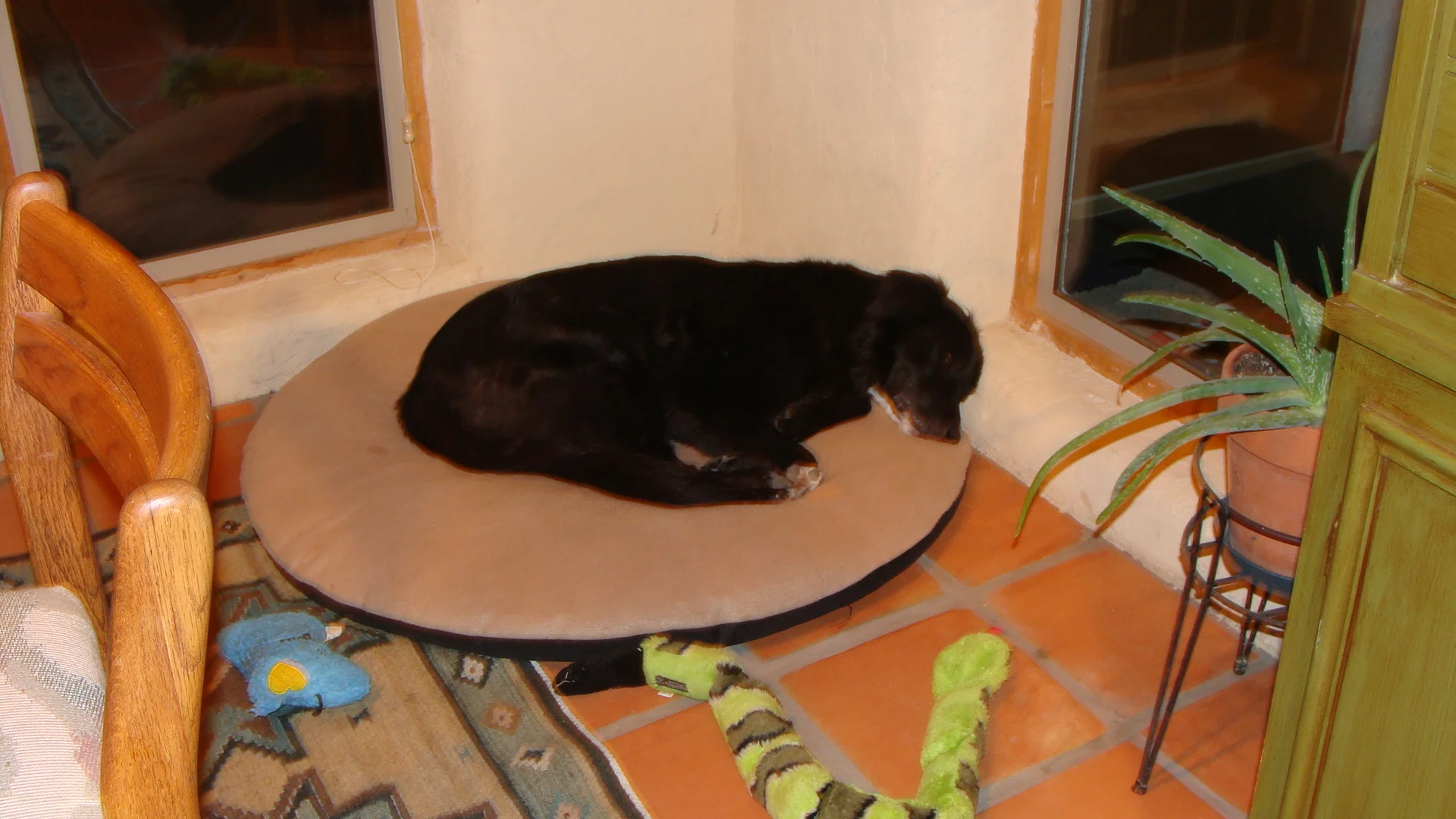 Other times we rest.