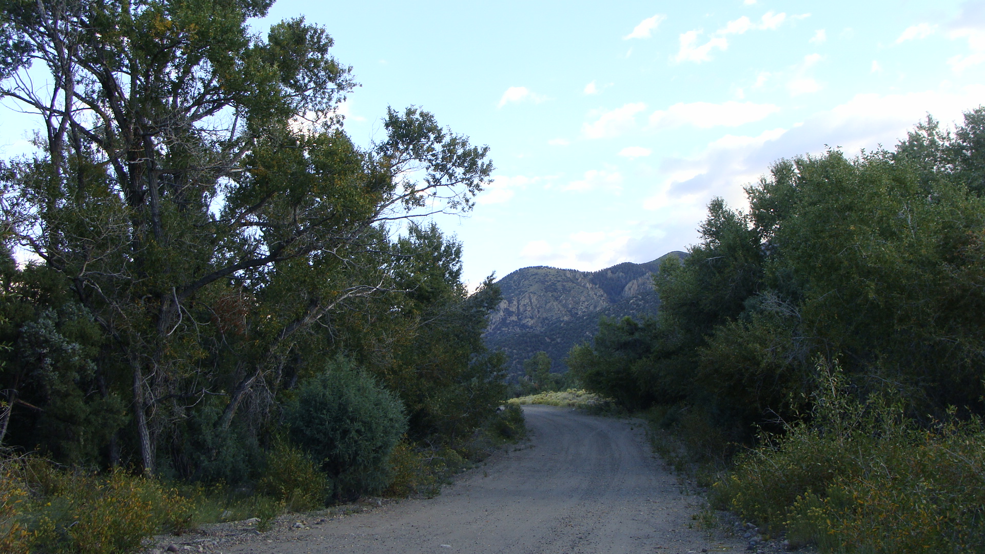 A Beautiful Path for Strolling Contemplation