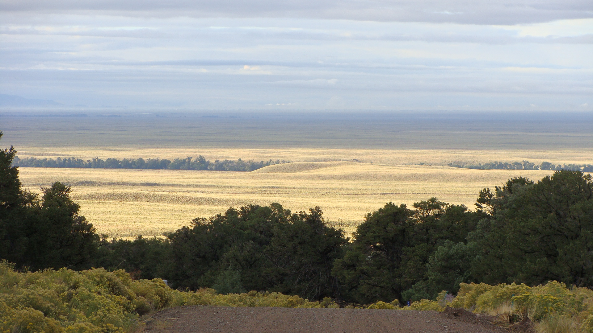 In awe of the beauty and vastness of the San Luis Valley - my view when I'm not looking at the mountains. More gratitude!