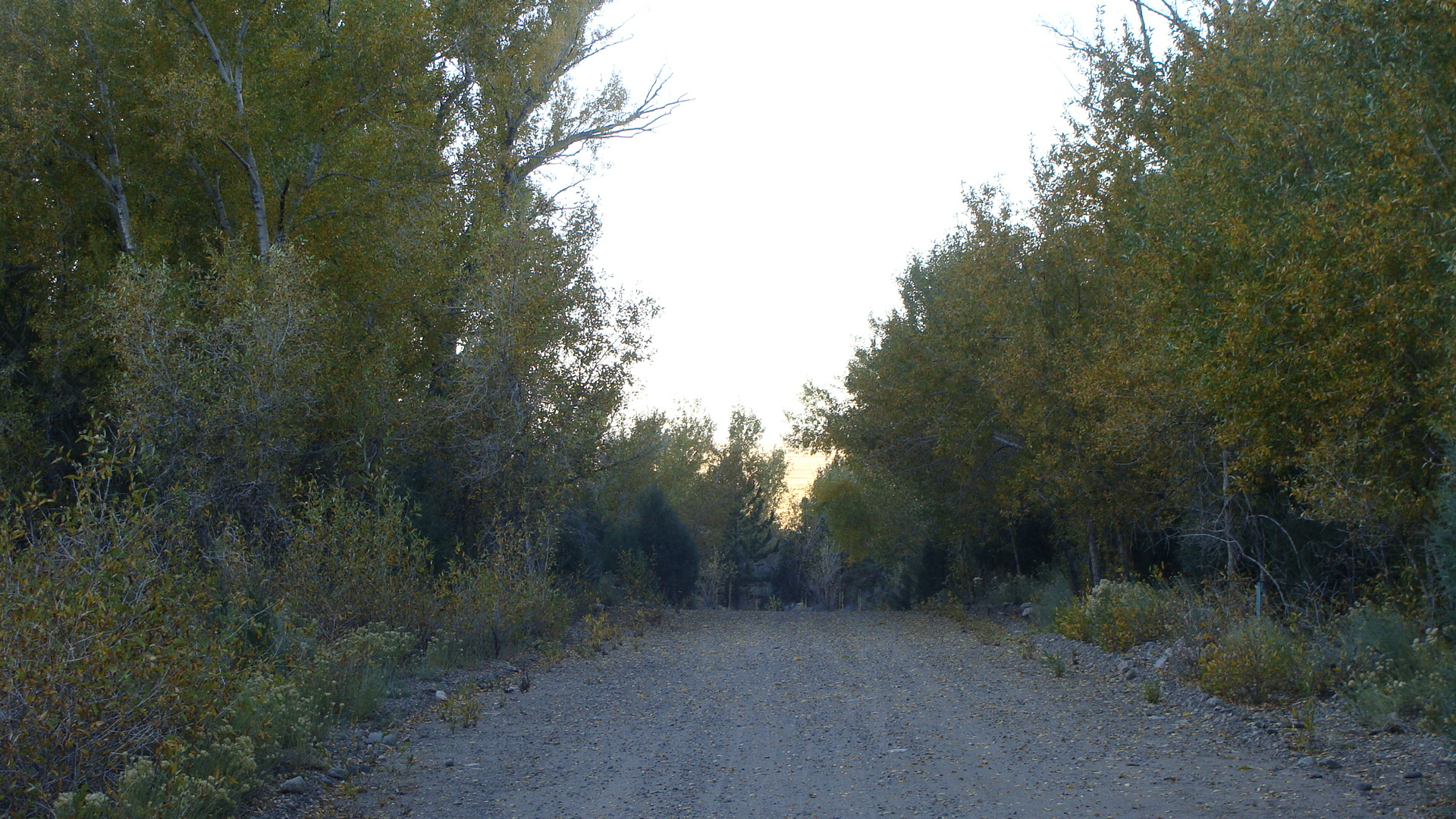 A Road Less Traveled ...
