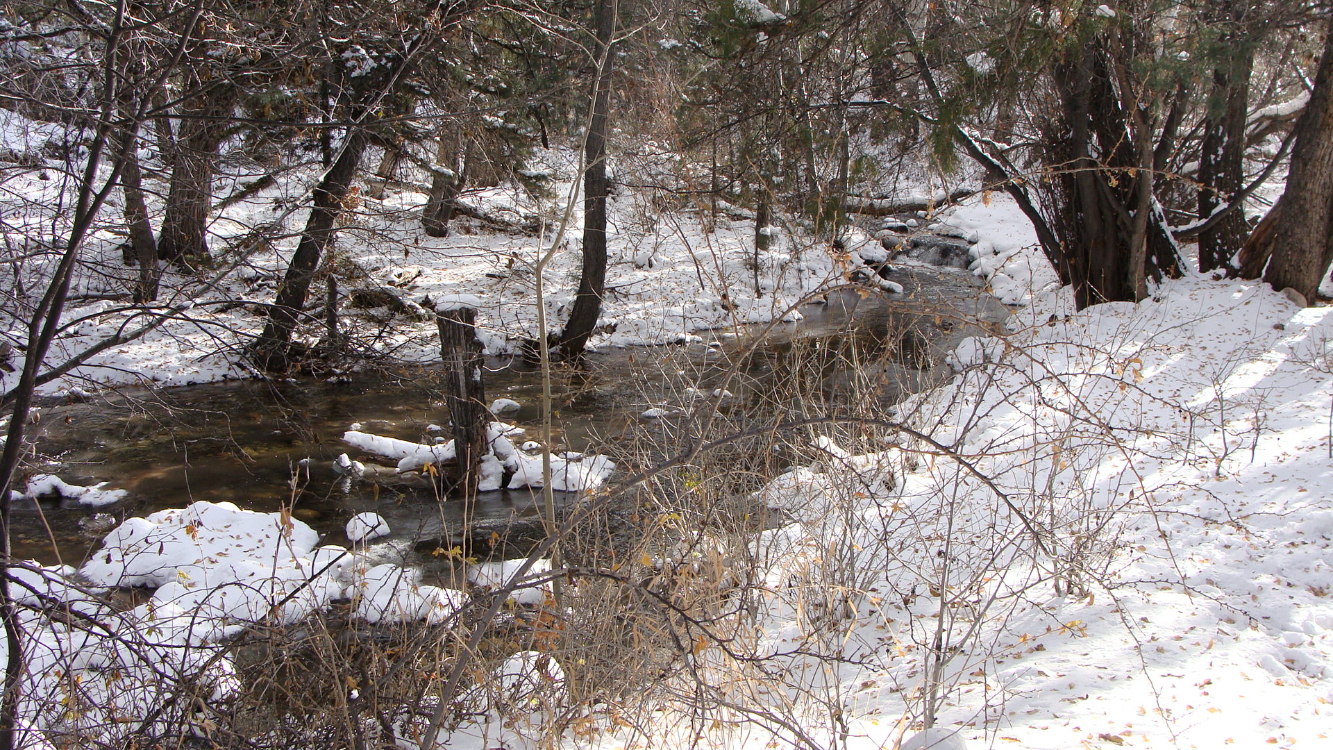 The Deep Quiet of Winter Begins to Settle In