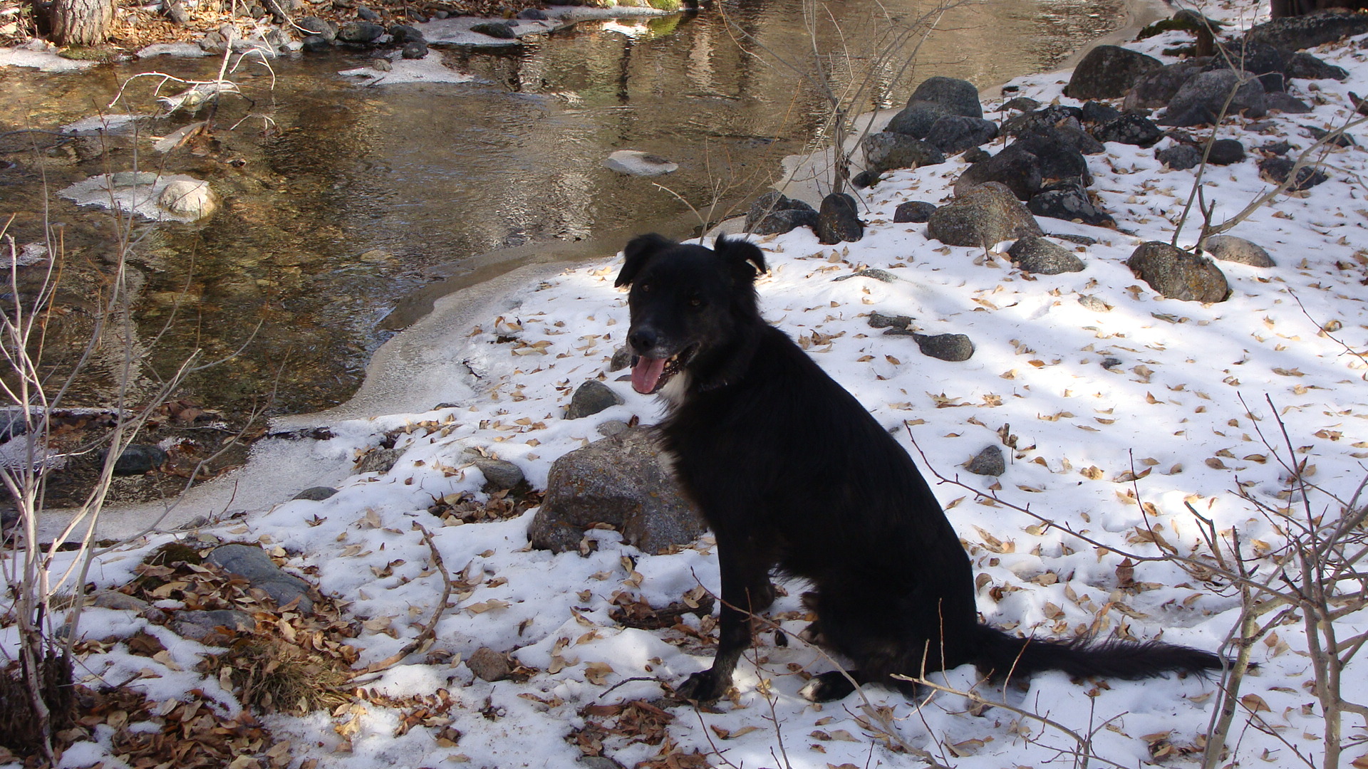And, another quiet moment at our favorite spot on the creek